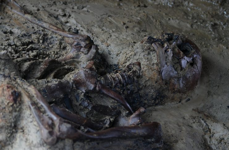 Archaeologists have found another victim of the eruption of Vesuvius - Archaeological finds, Vesuvius, Eruption, The Roman Empire, Herculaneum, Volcano, Story