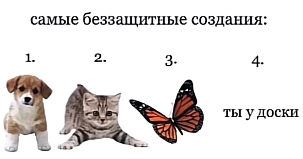 Кто, когда беззащитный… - Юмор, Мемы, Кот, Бабочка, Школа, Беззащитность