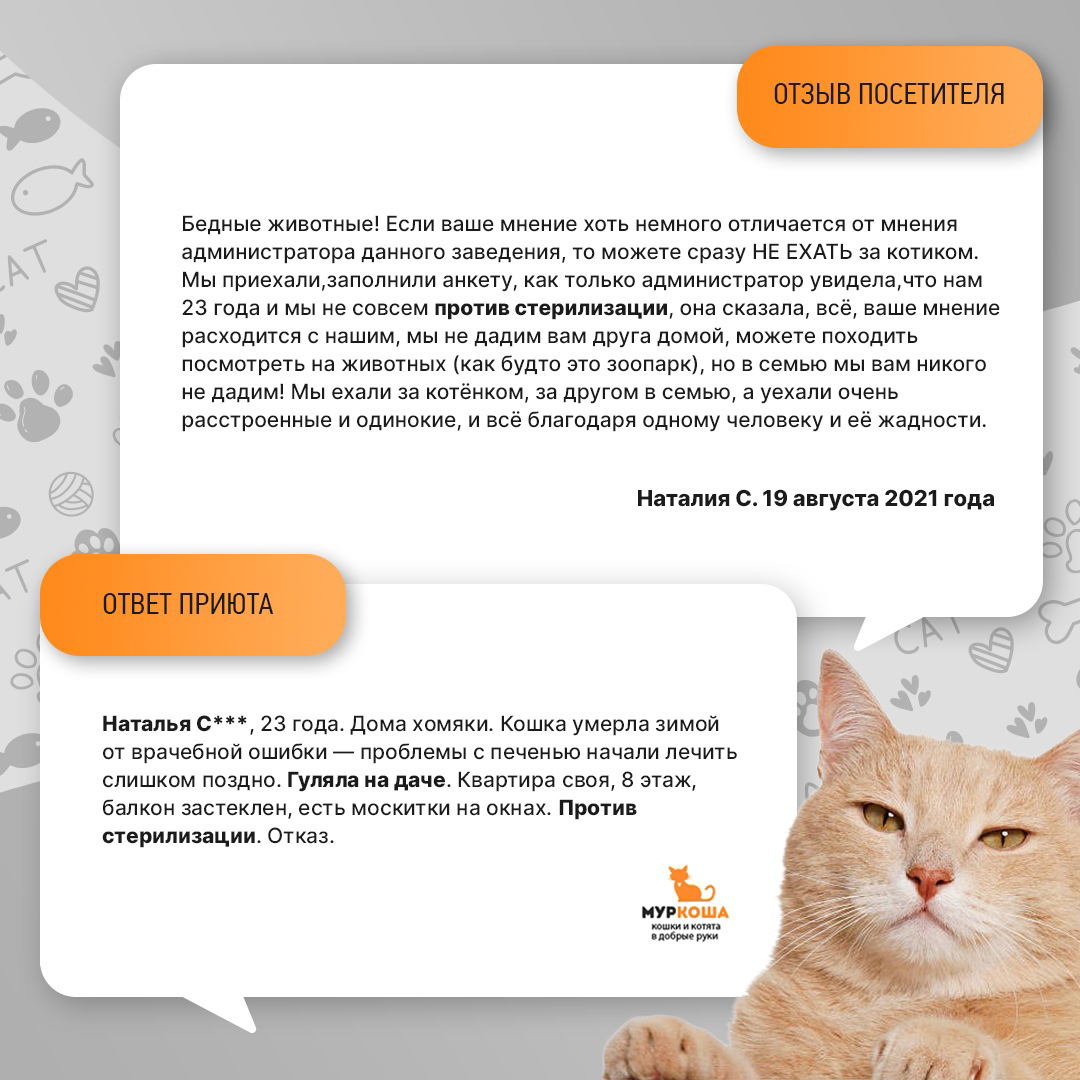 It's easier to get a mortgage than to take a cat from a shelter - My, Murkosh shelter, Animal shelter, cat, In good hands, Help, Moscow, No rating, Longpost