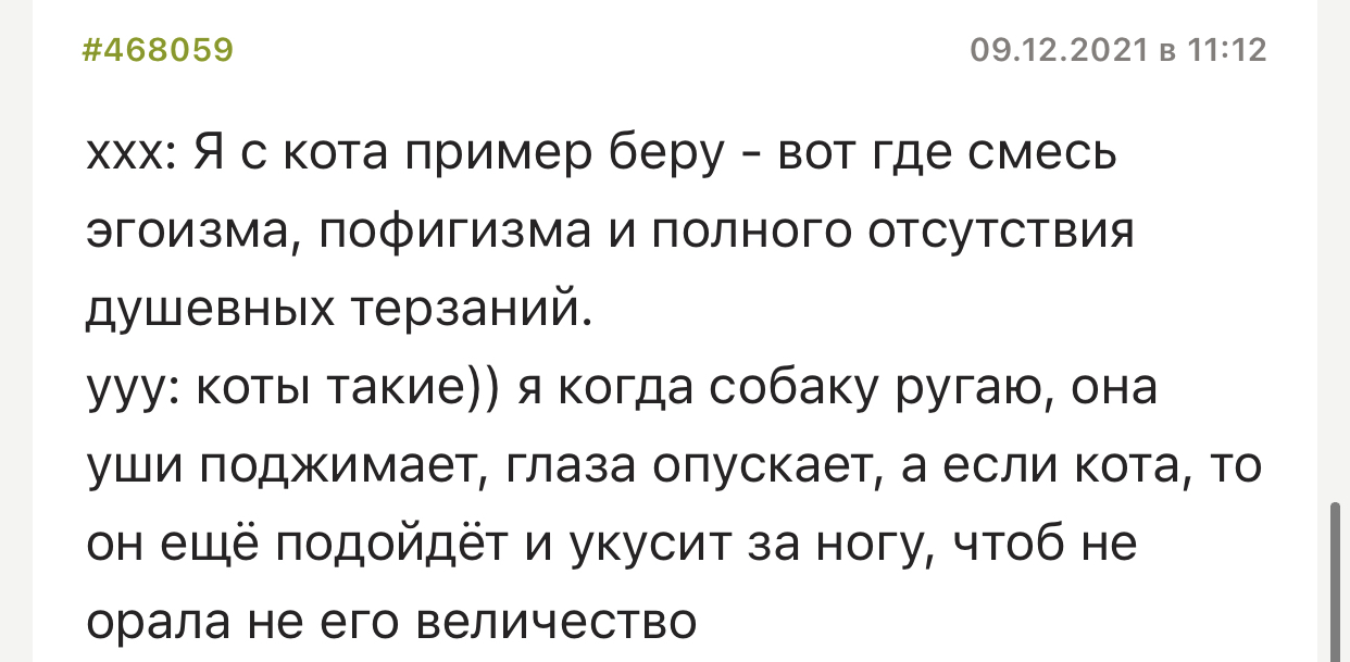 Нечего обижать его котейшество - Bash im, Скриншот, Кот