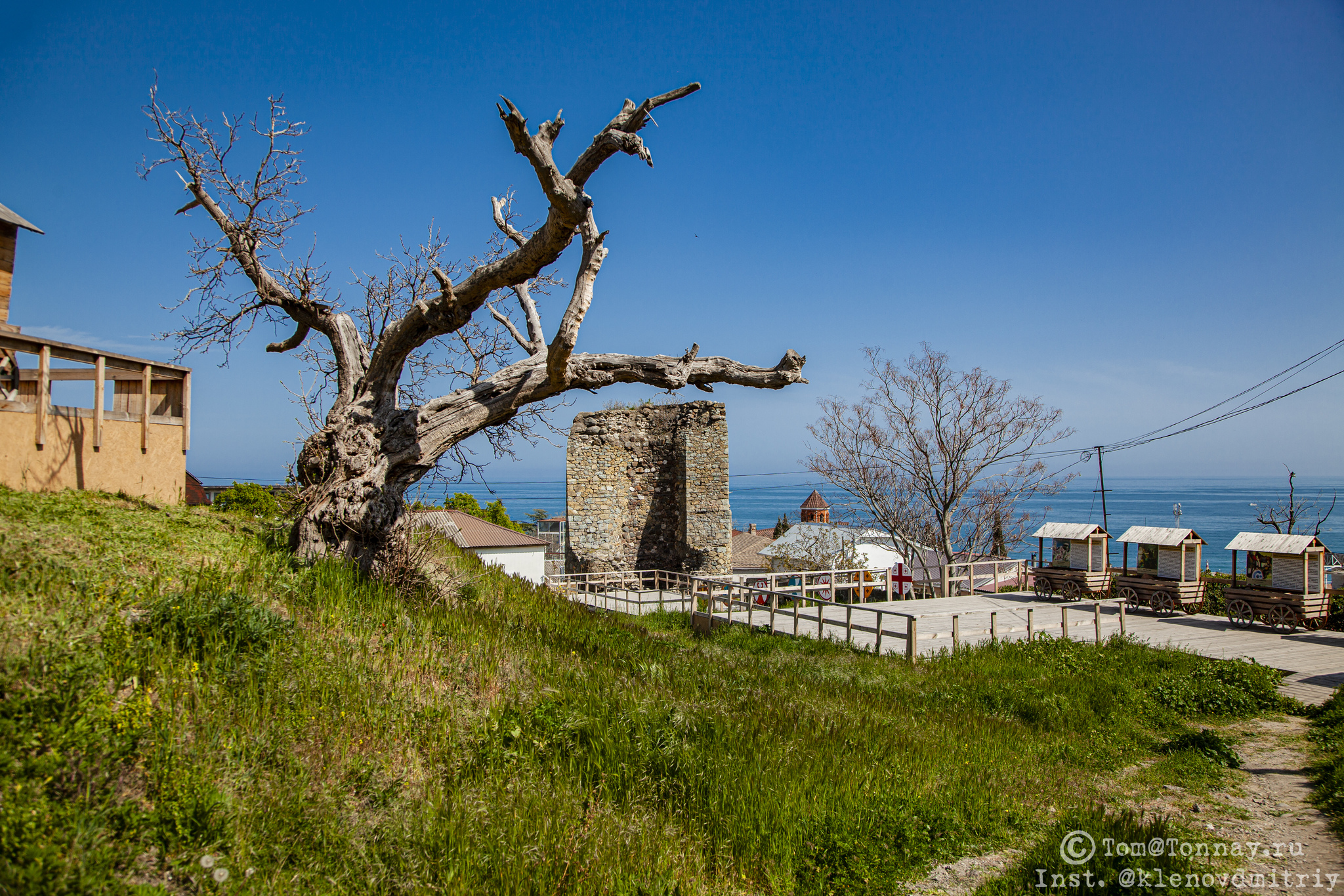 Package tour to the Crimea, what is it and what is it eaten with? - My, Crimea, Alushta, Travel across Russia, Tourism, Landscape, Sea, Spring, City walk, Town, sights, Food, Animals, cat, Longpost