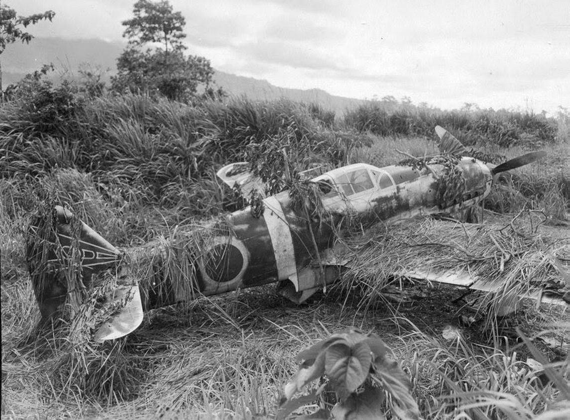 Ласточка в закатном небе. Kawasaki Ki-61-I-Hei Hien - Моё, Моделизм, Стендовый моделизм, Авиамоделизм, Сборная модель, Сборка, Аэрография, Миниатюра, Самолет, Авиация, Вторая мировая война, Япония, Своими руками, Рукоделие с процессом, Рукоделие, Хобби, Истребитель, Видео, Длиннопост, Перл-Харбор, Камикадзе