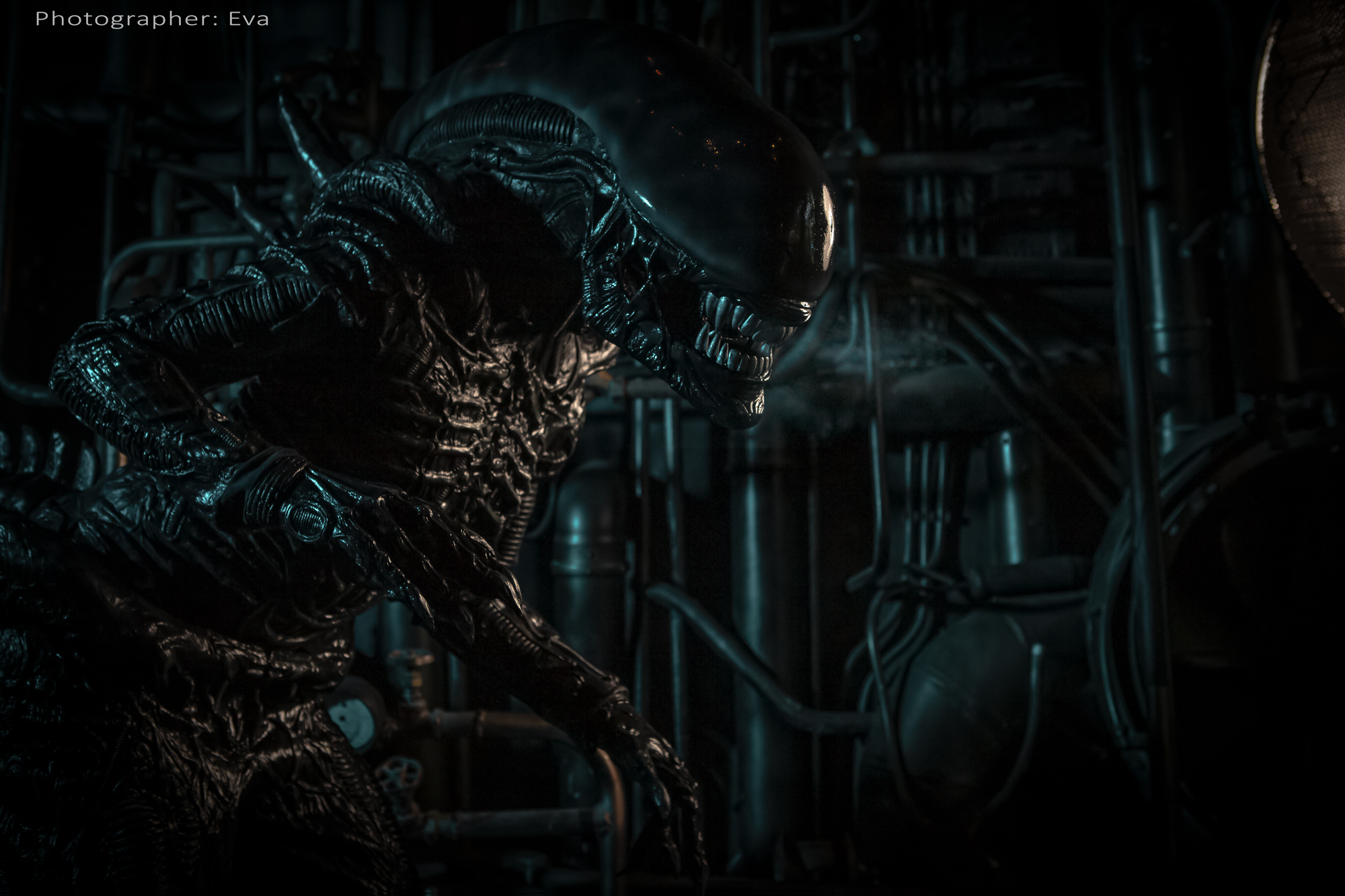 Cosplay Alien Xenomorph from the movie Alien xenomorph cosplay - My, Alien: Isolation, Stranger, Cosplay, Costume, The photo, Longpost