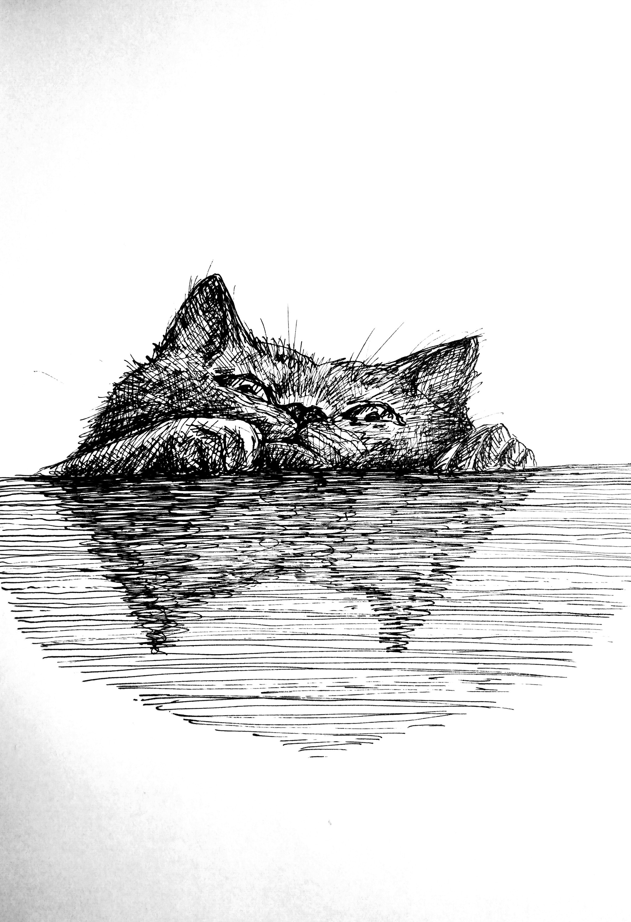 Pen, ink - My, Art, Illustrations, Illustrator, Feather, Mascara, Paper, Artist, Creation, cat, Fat cats, , Graphics