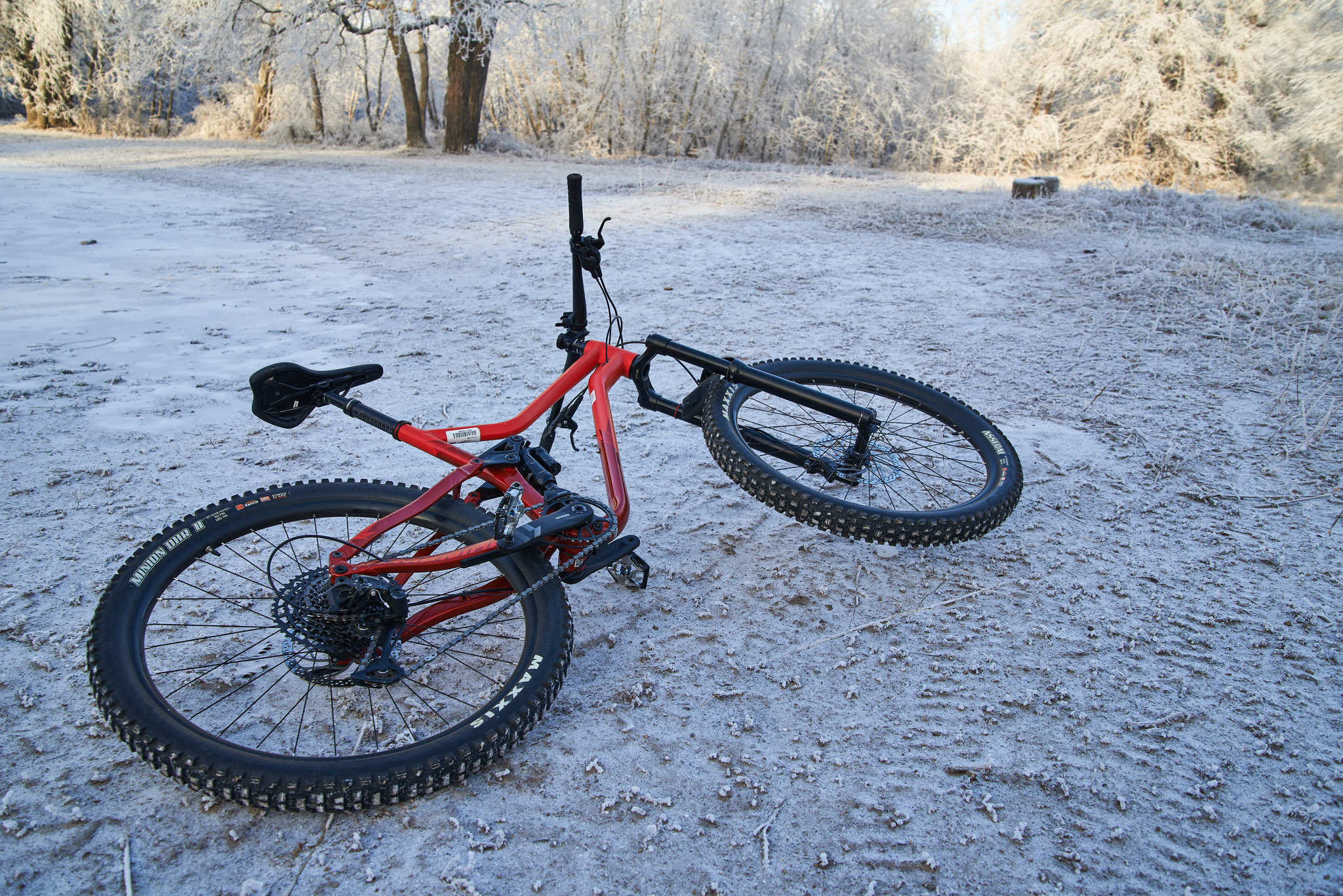 My photos from cycling, Natural Monument Kumysnaya Polyana 11.12.2021 - My, A bike, Kumysnaya Polyana, Merida (bicycle), Saratov, Nikon, Capture One, Longpost