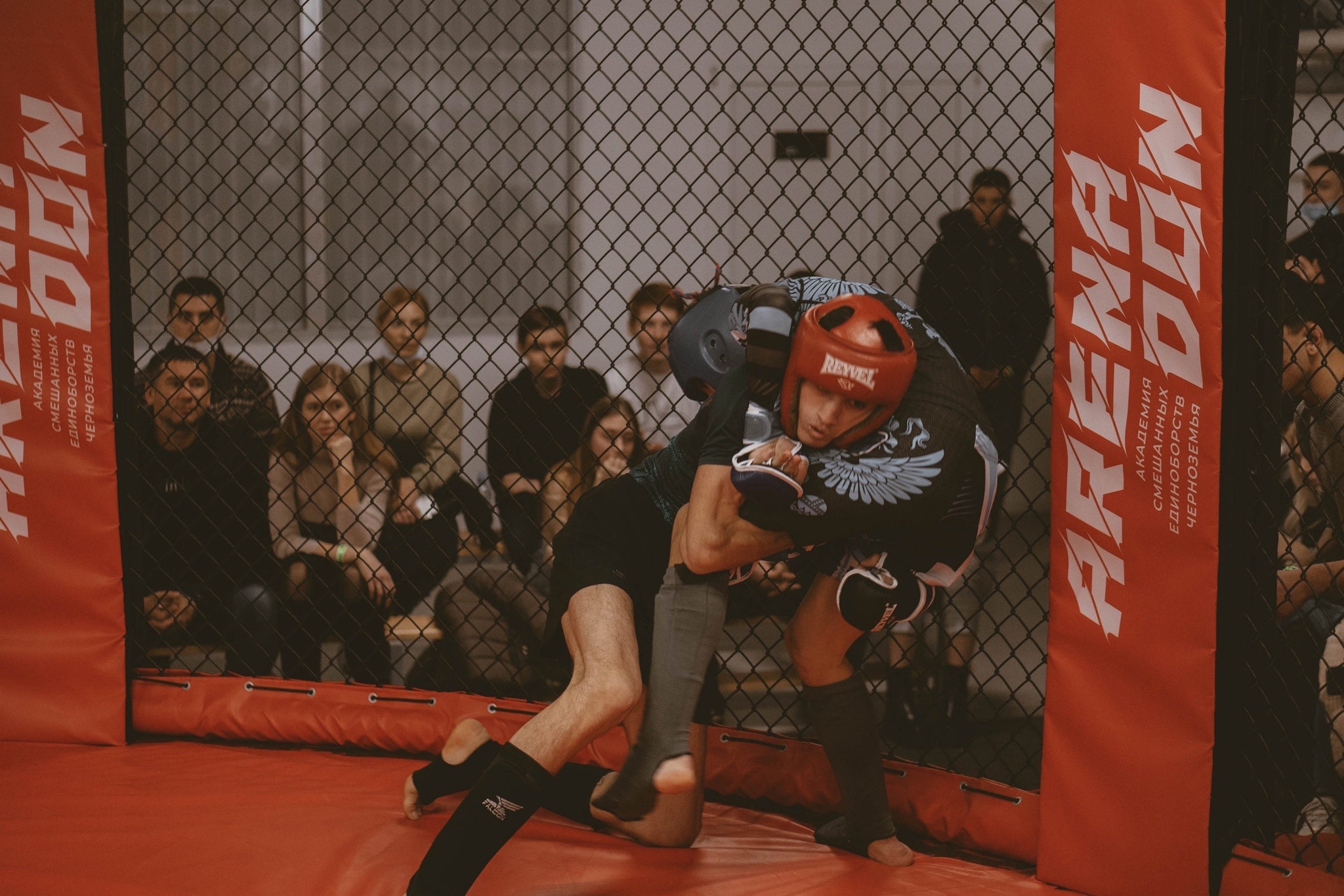 Voronezh hosted the 3rd stage of the Open League of the Black Earth Region in mixed martial arts - My, MMA, Voronezh, Sport, Pankration, Longpost