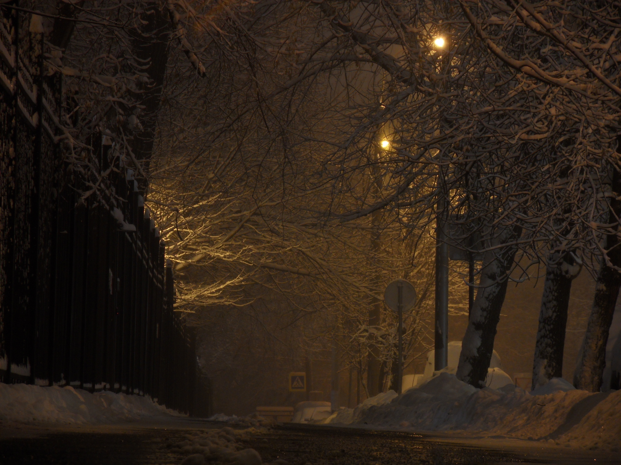 Night snowfall in Moscow - My, Snow, Winter, Moscow, Longpost