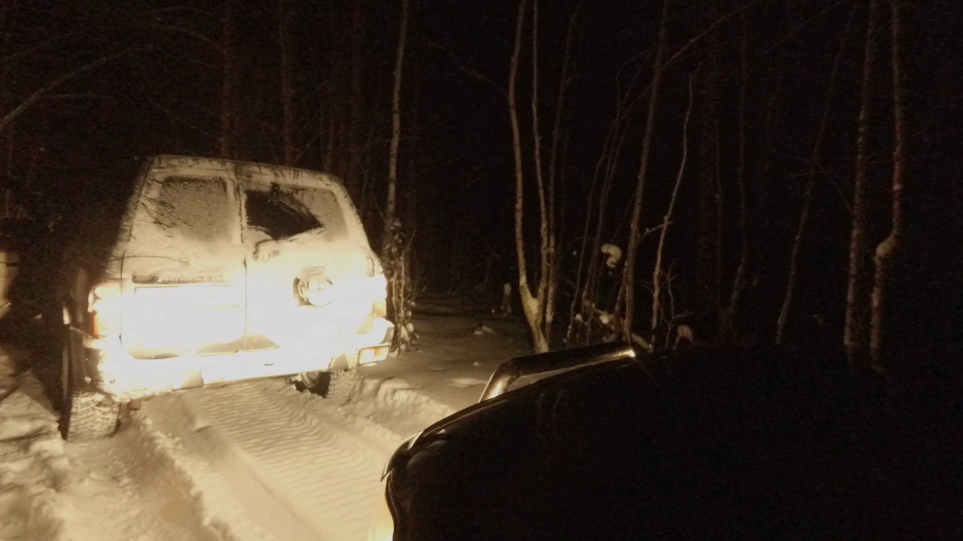 Adventures of Toyota Land Cruiser 80 and Nissan Patrol Y61 in a snowy forest. 4x4. PerekatiKolsky - My, Toyota, Nissan, 4x4, Off road, Murmansk, Kola Peninsula, Auto, Forest, Winter, 2021, Video, Longpost