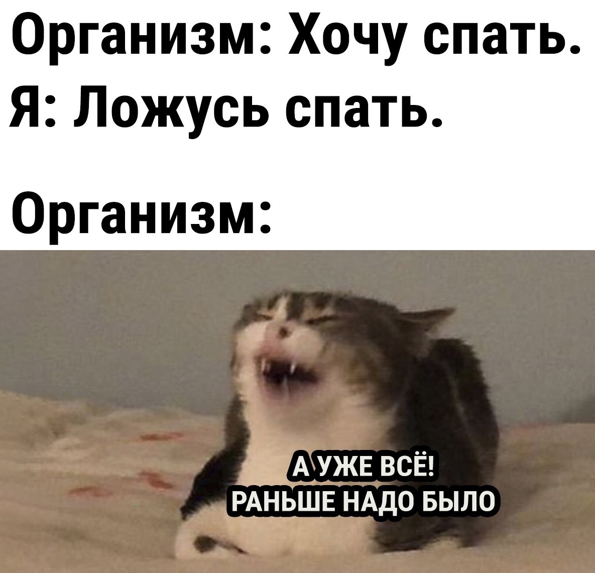 Замкнутый круг | Пикабу