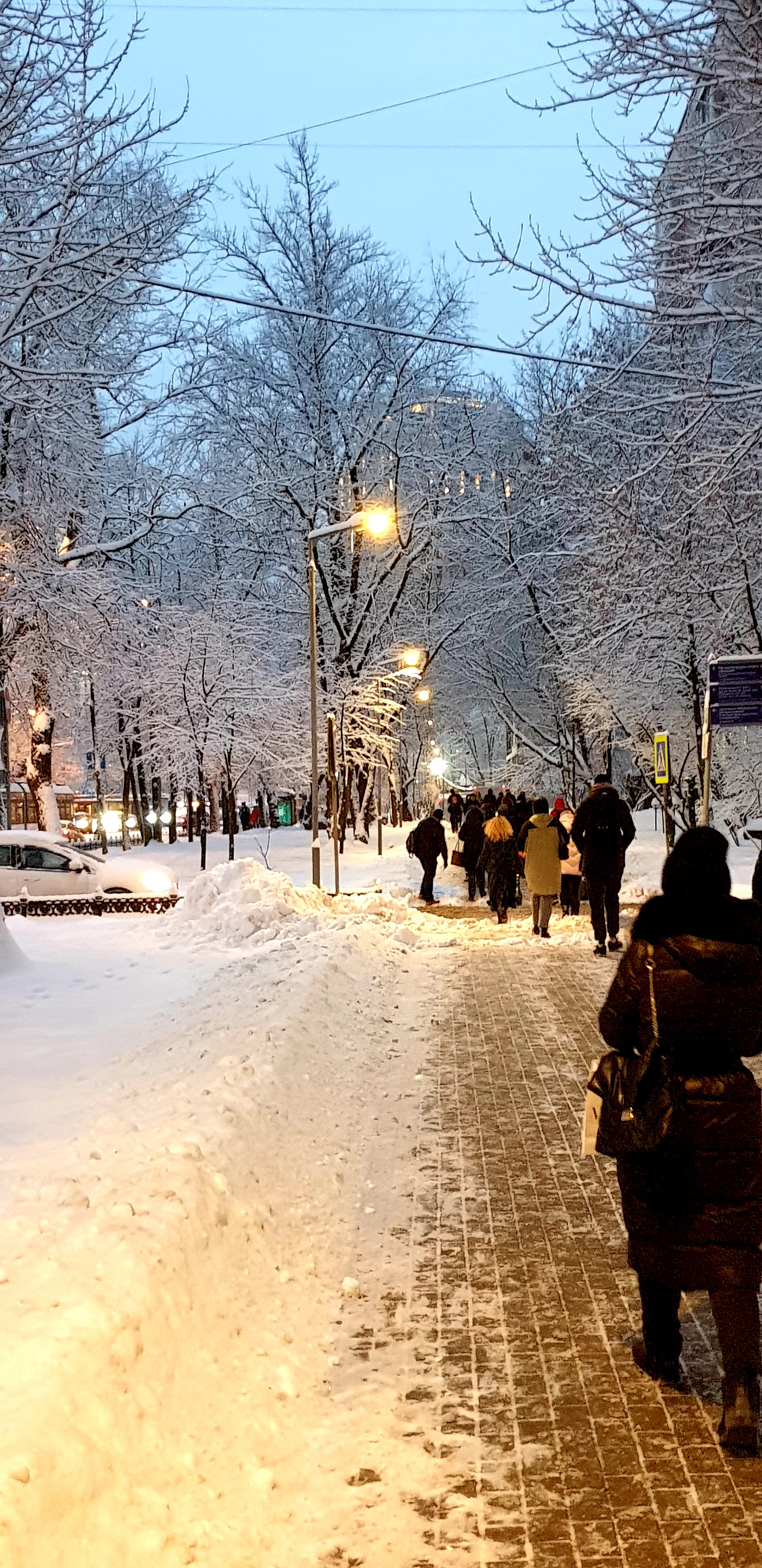 A little bit of social chemistry - My, Public transport, Snow, Winter, Moscow, Road, Tram, Traffic jams, Longpost