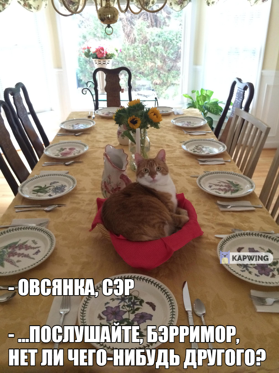 Festive table - cat, Memes