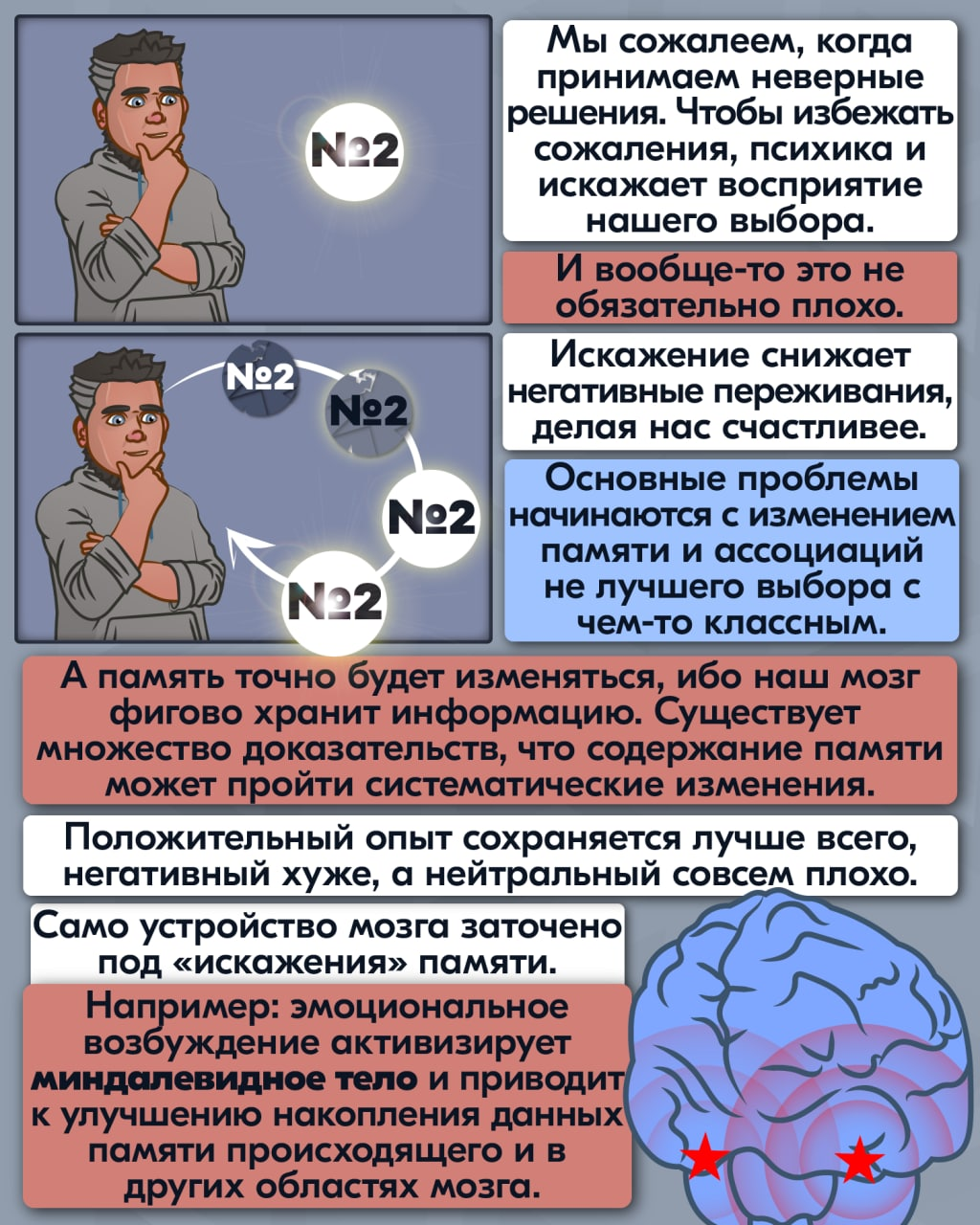 Cognitive distortions #3 - Anchorite, The science, Nauchpop, Informative, Research, Cognitive distortion, Scientific humor, Brain, Longpost