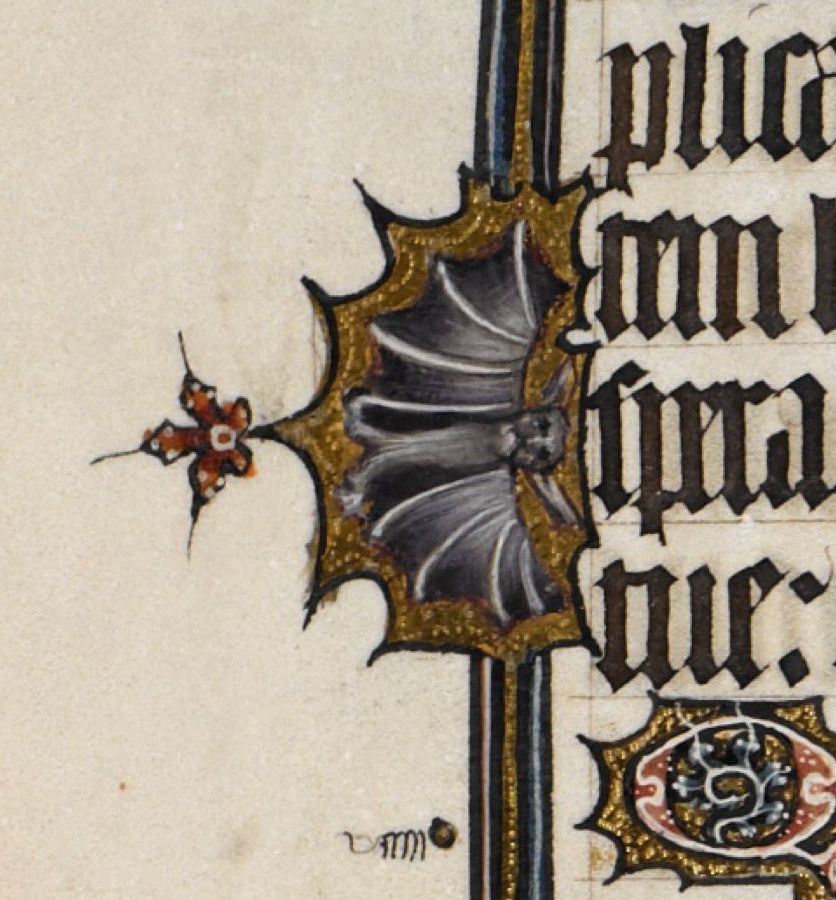 Small, sympathetic... - Suffering middle ages, Strange humor, A selection, Marginalia, Miniature, Middle Ages, Manuscript, Gothic font, Books, Illustrations, Comical, Animals, Bestiary, Longpost