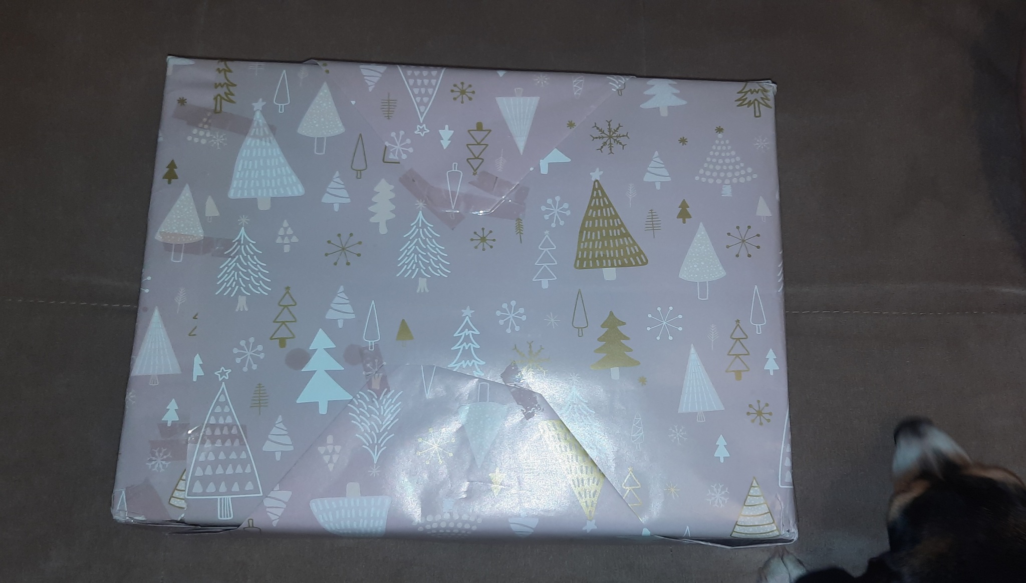 AMD 2021-2022 SAINT-PETERSBURG _UFA - Gift exchange, New Year, Longpost, Gift exchange report, Secret Santa