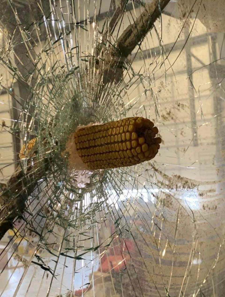 A car came to our service to repair it after a tornado in Kentucky - Corn, Tractor, Tornado, Reddit, Longpost, Penetration