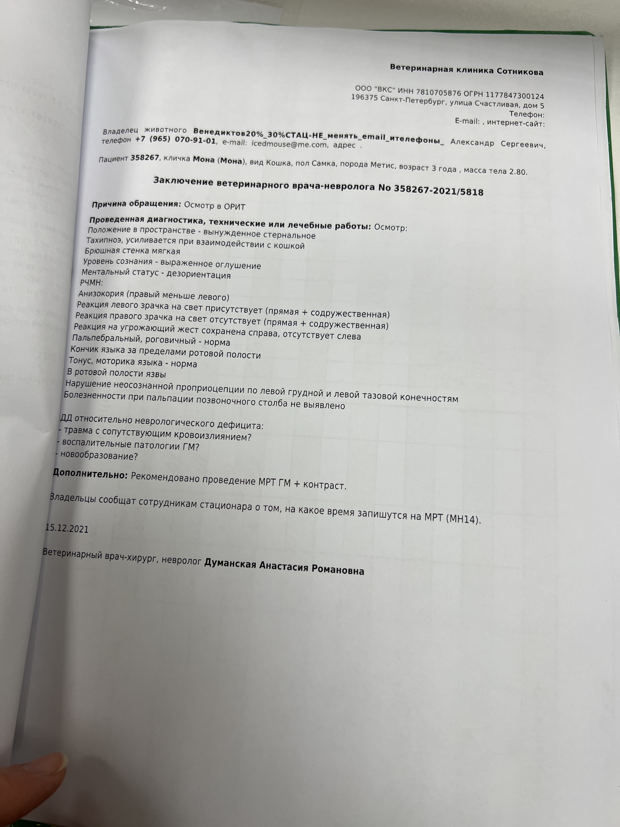 Continuation of the post “Where to find responsible hands and how not to make a mistake in your choice ?! My new-old ward in grave condition was taken to the Clinic  - My, cat, Kittens, Animal Rescue, Helping animals, Homeless animals, Pets, Help, Fluffy, Volunteering, Animals, Treatment, Veterinary, Irresponsibility, MRI, Heart attack, Reply to post, Longpost