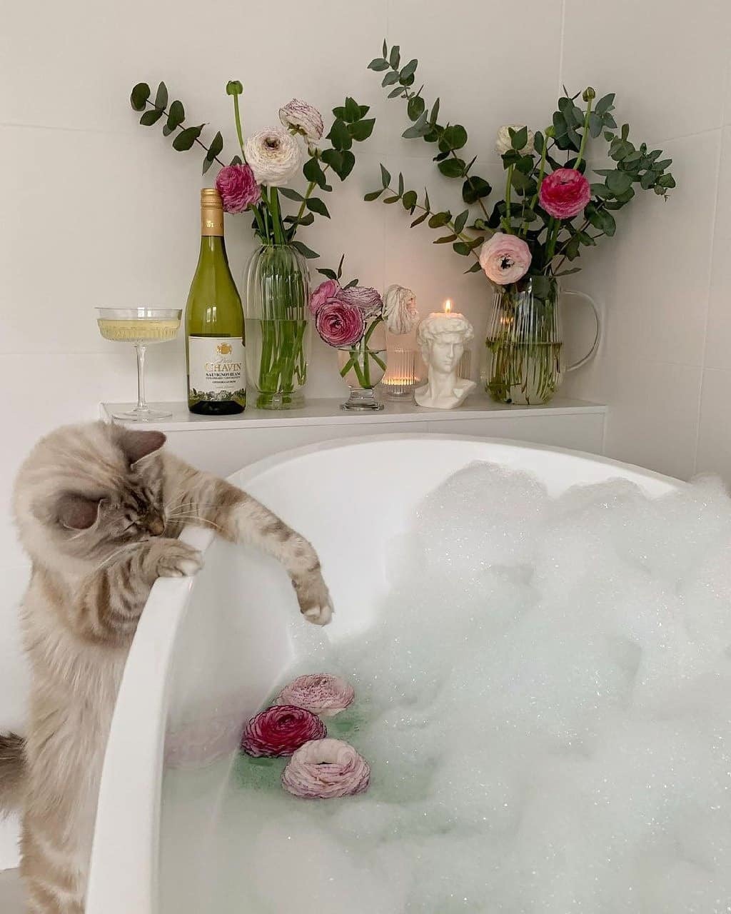 When I prepared a bath for my loved one with my paws - cat, Bath, Foam, Flowers, Wine, Candle, Romance