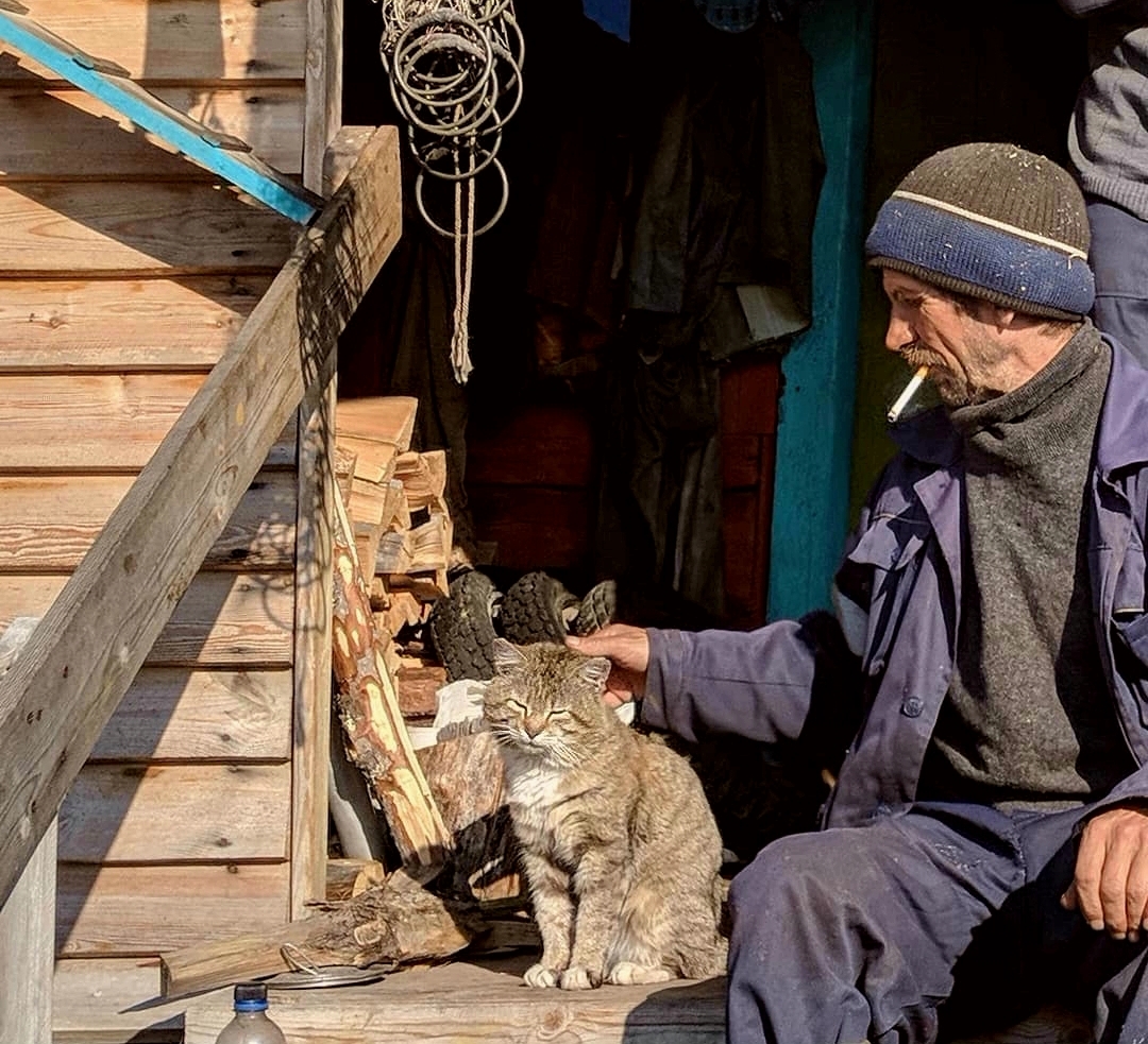 Sat on the track - cat, Pets, The photo, Mobile photography, Village