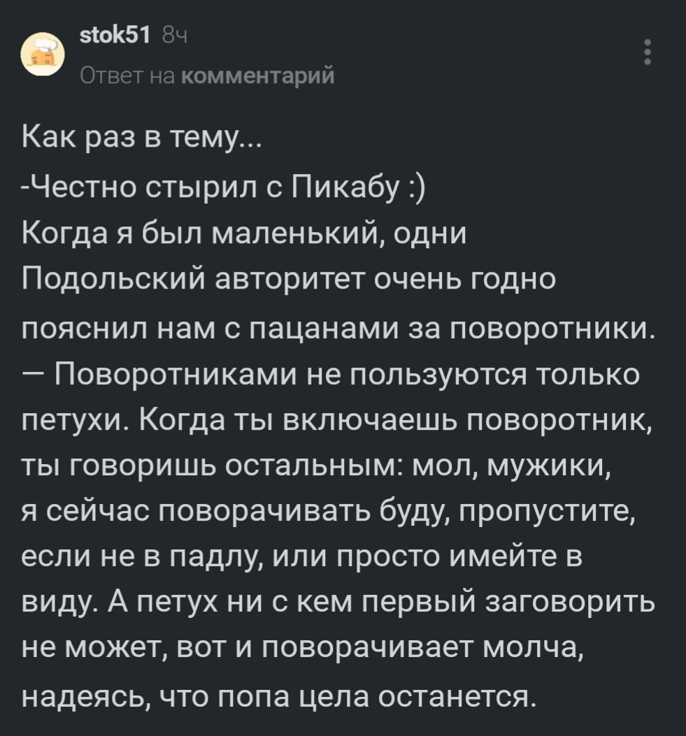 Поворотники - Юмор, Поворотники, Авто, Скриншот, Комментарии, Комментарии на Пикабу, Зона, Тюрьма, Детство, Негатив, Петух