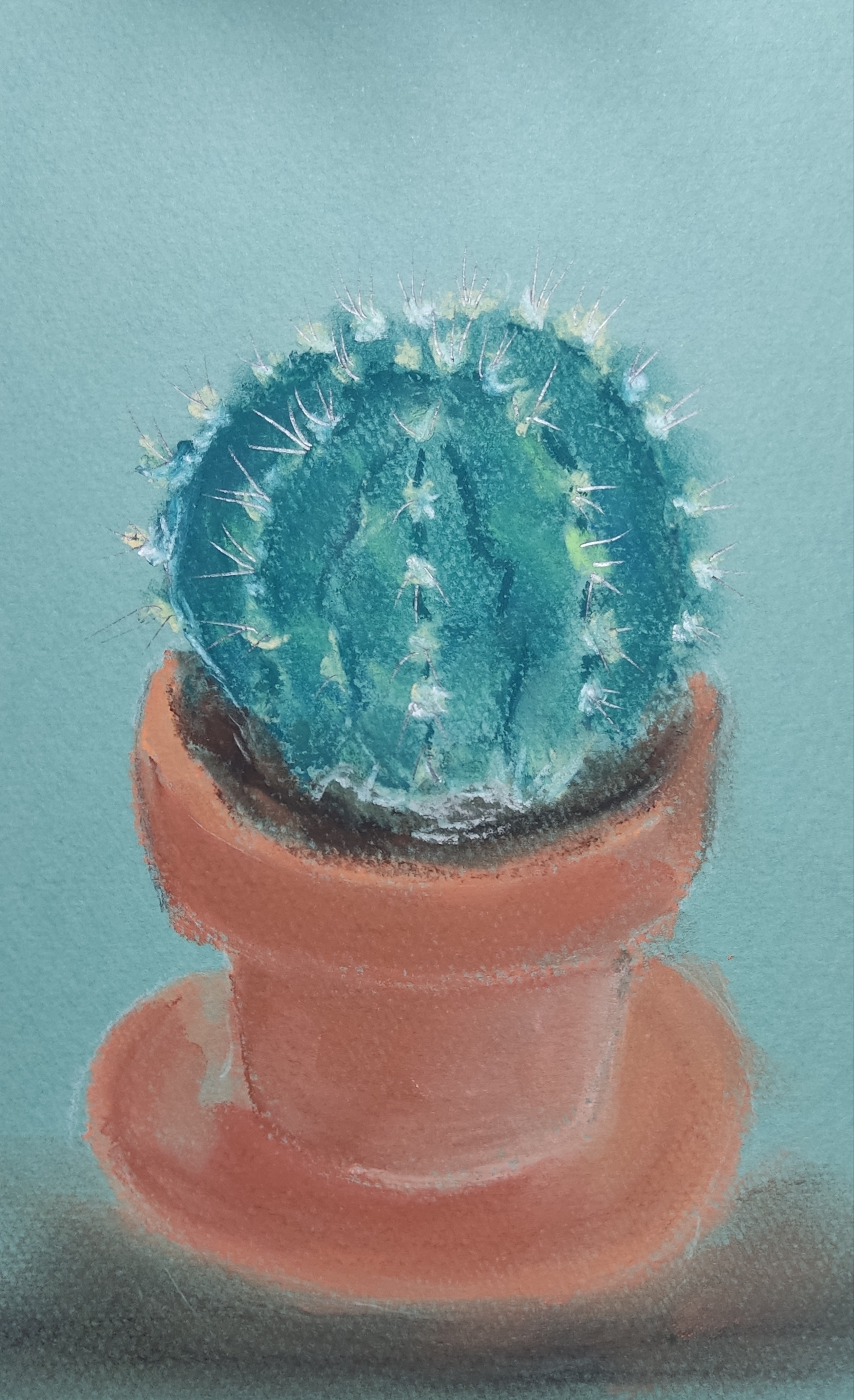 Dry pastel. My friend!) - My, Art, Dry pastel, Pastel, Self-taught artist, Cactus, Longpost