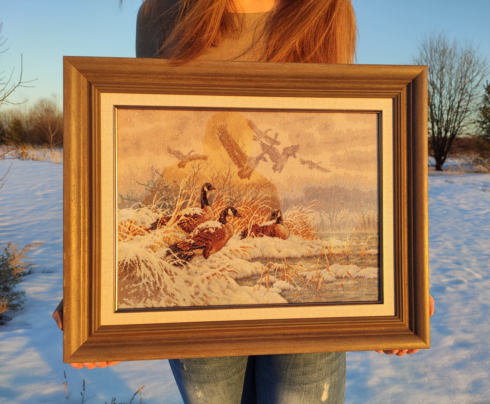 Winter flight - My, Embroidery, Cross-stitch, Needlework without process, Longpost