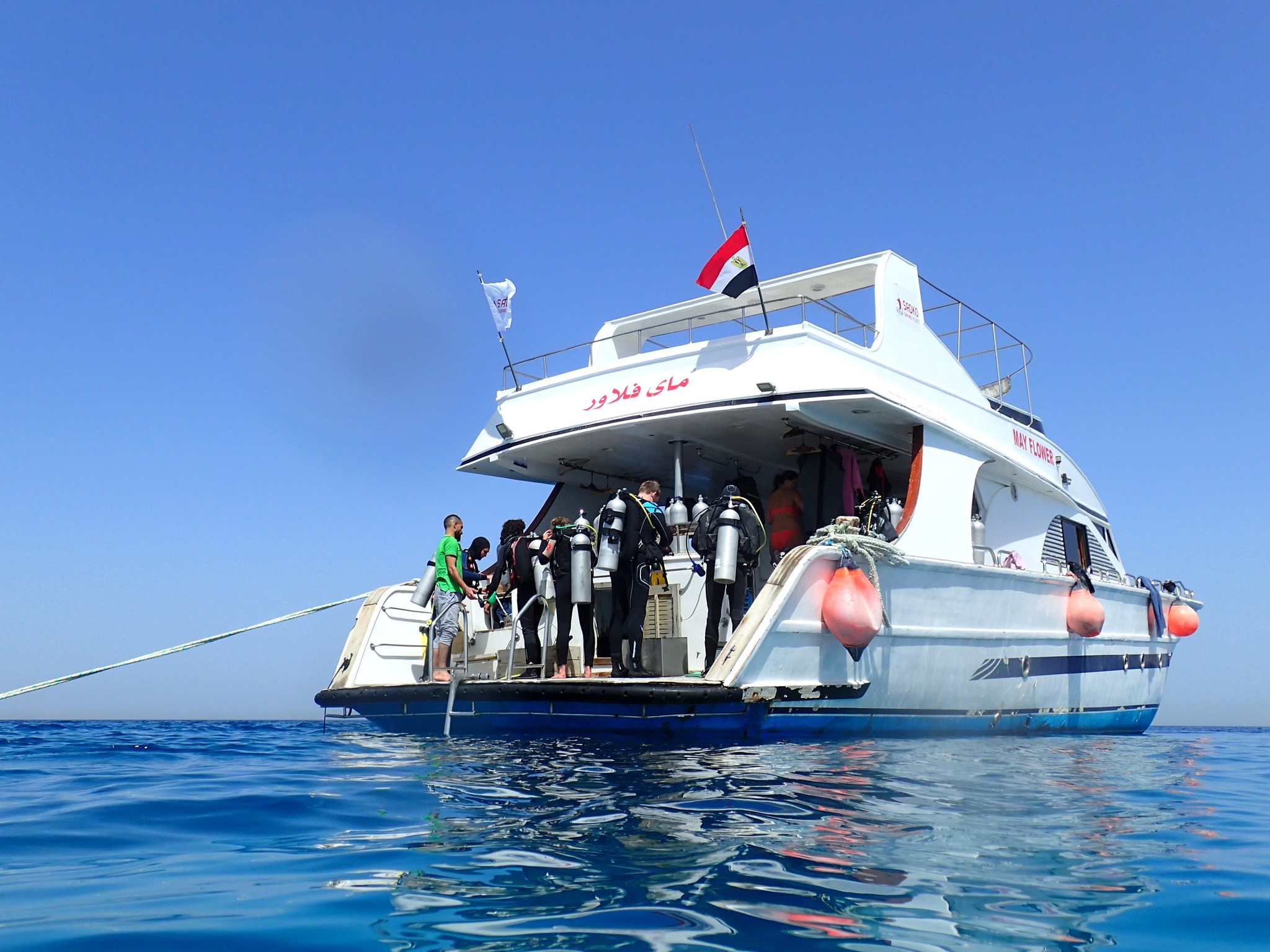 The underwater world of the Red Sea. Sahl Hasheesh, Hurghada. 2021 - My, Red sea, Hurghada, Snorkeling, Longpost, 