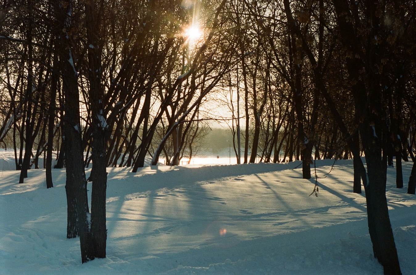 Зимнее - Фотография, Пленка, Пейзаж, Длиннопост