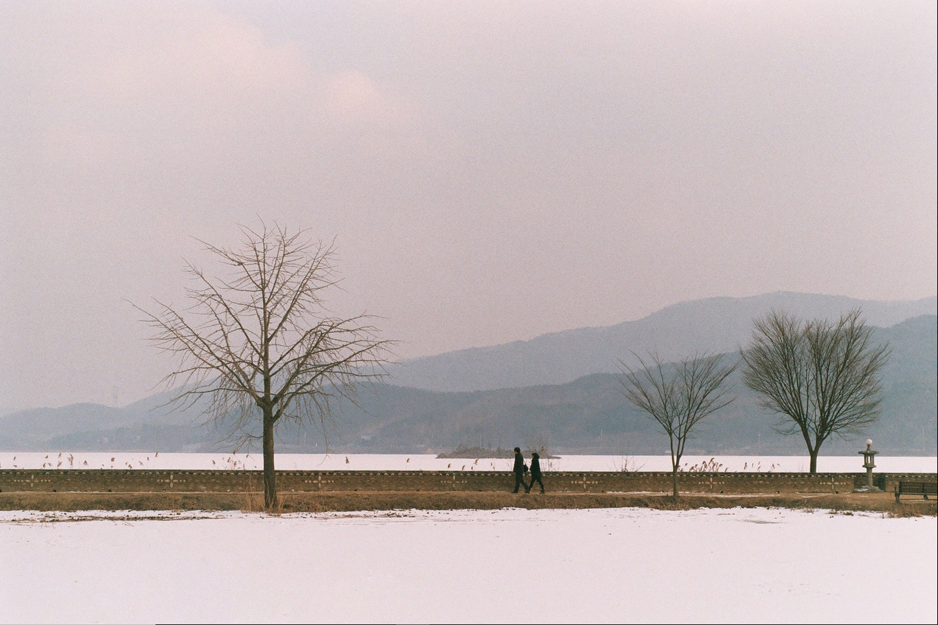 Winter - The photo, Film, Landscape, Longpost