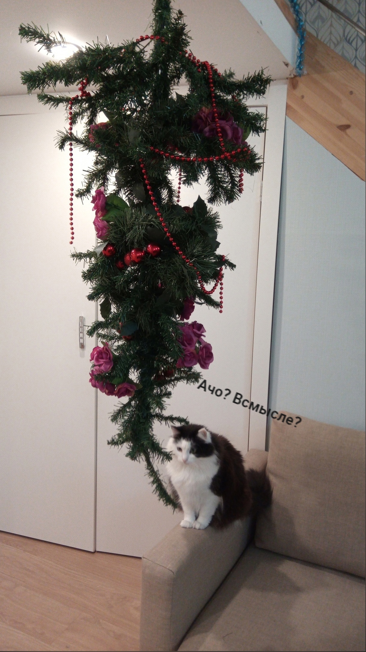 Methods for preventing terrorist actions against the Christmas tree - My, Christmas tree, cat, Memes, Paws, New Year, Longpost