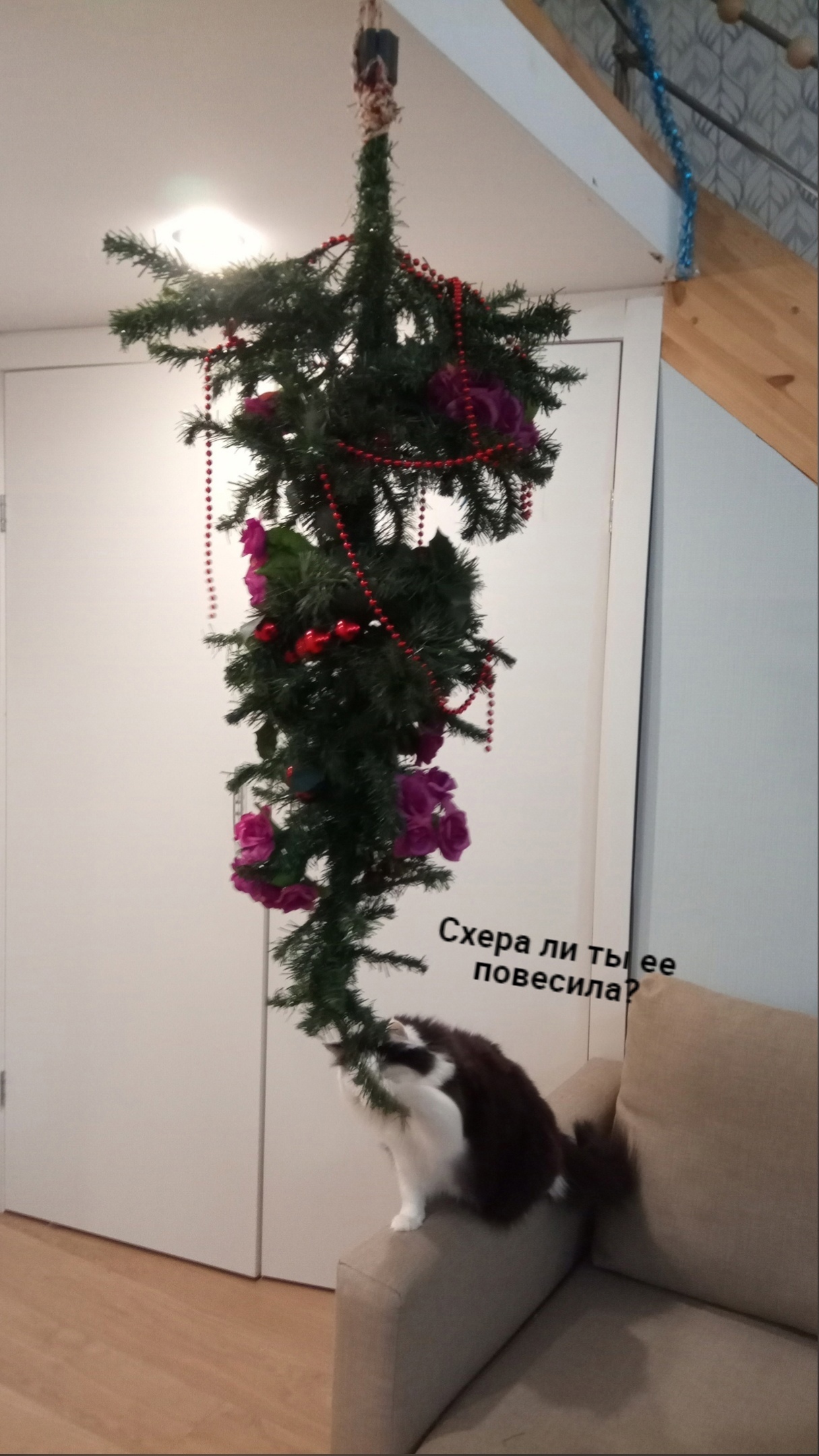 Methods for preventing terrorist actions against the Christmas tree - My, Christmas tree, cat, Memes, Paws, New Year, Longpost