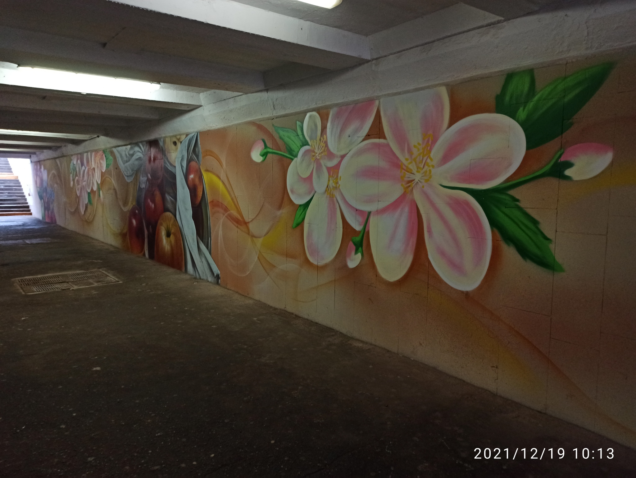 Beautiful graffiti in the underpass in Omsk at the intersection of Lermontov and Lenin - My, Omsk, Graffiti, Longpost