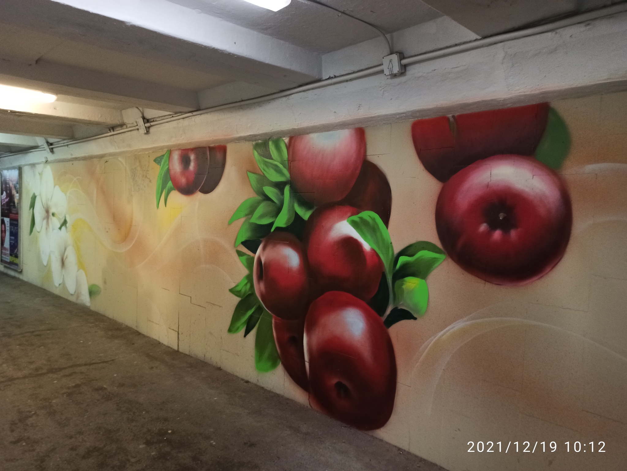 Beautiful graffiti in the underpass in Omsk at the intersection of Lermontov and Lenin - My, Omsk, Graffiti, Longpost