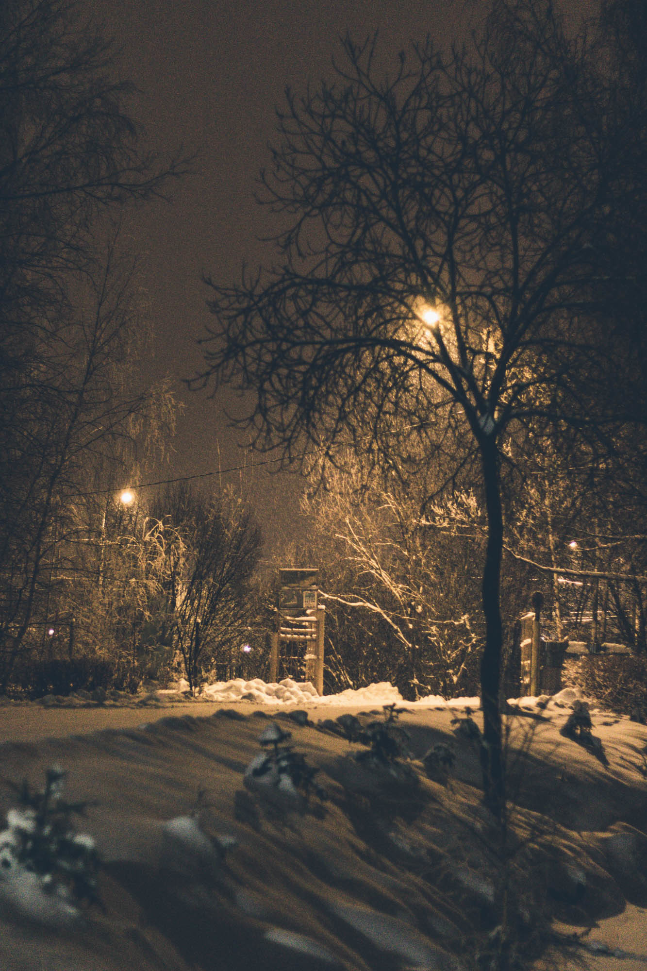 Winter - My, Beginning photographer, Street photography, Evening, Winter, The photo, Longpost