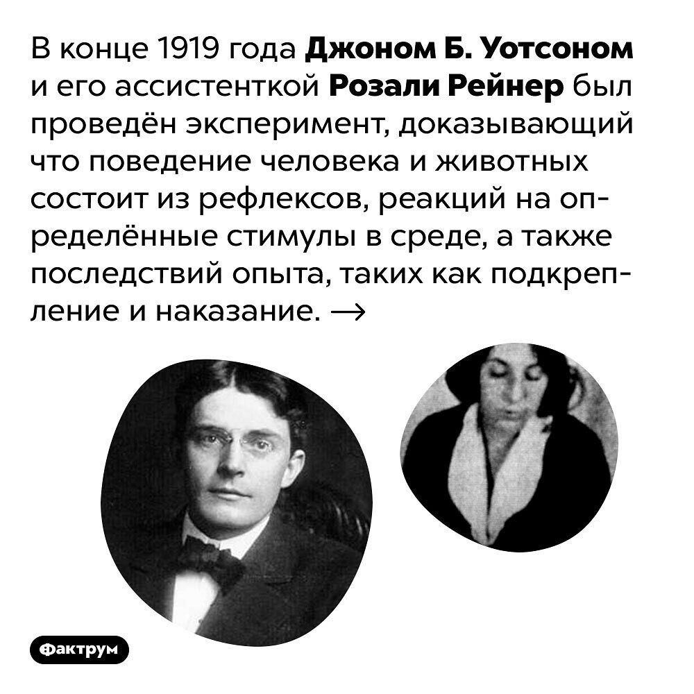 Little Albert - a brutal experiment that proved the connection between experience and fear - Factrum, Scientists, Research, Children, Informative, The science, Experiment, Longpost