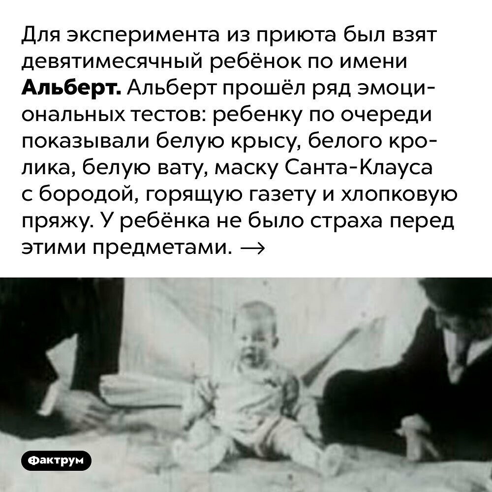 Маленький Альберт» — жестокий эксперимент, доказавший связь между опытом и  страхом | Пикабу