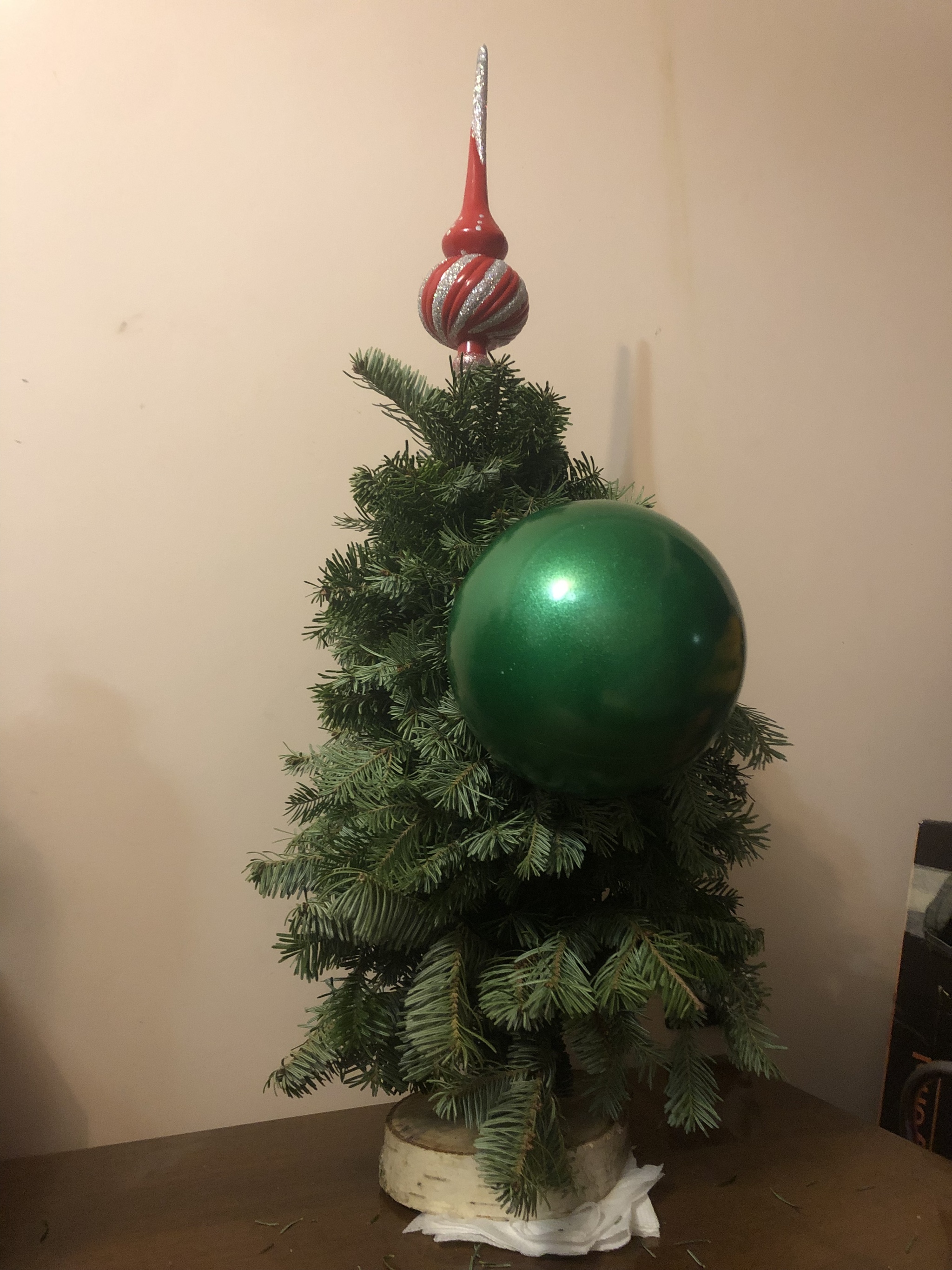 New Year's life hack for the League of Leni - My, New Year, Christmas trees, League of Leni