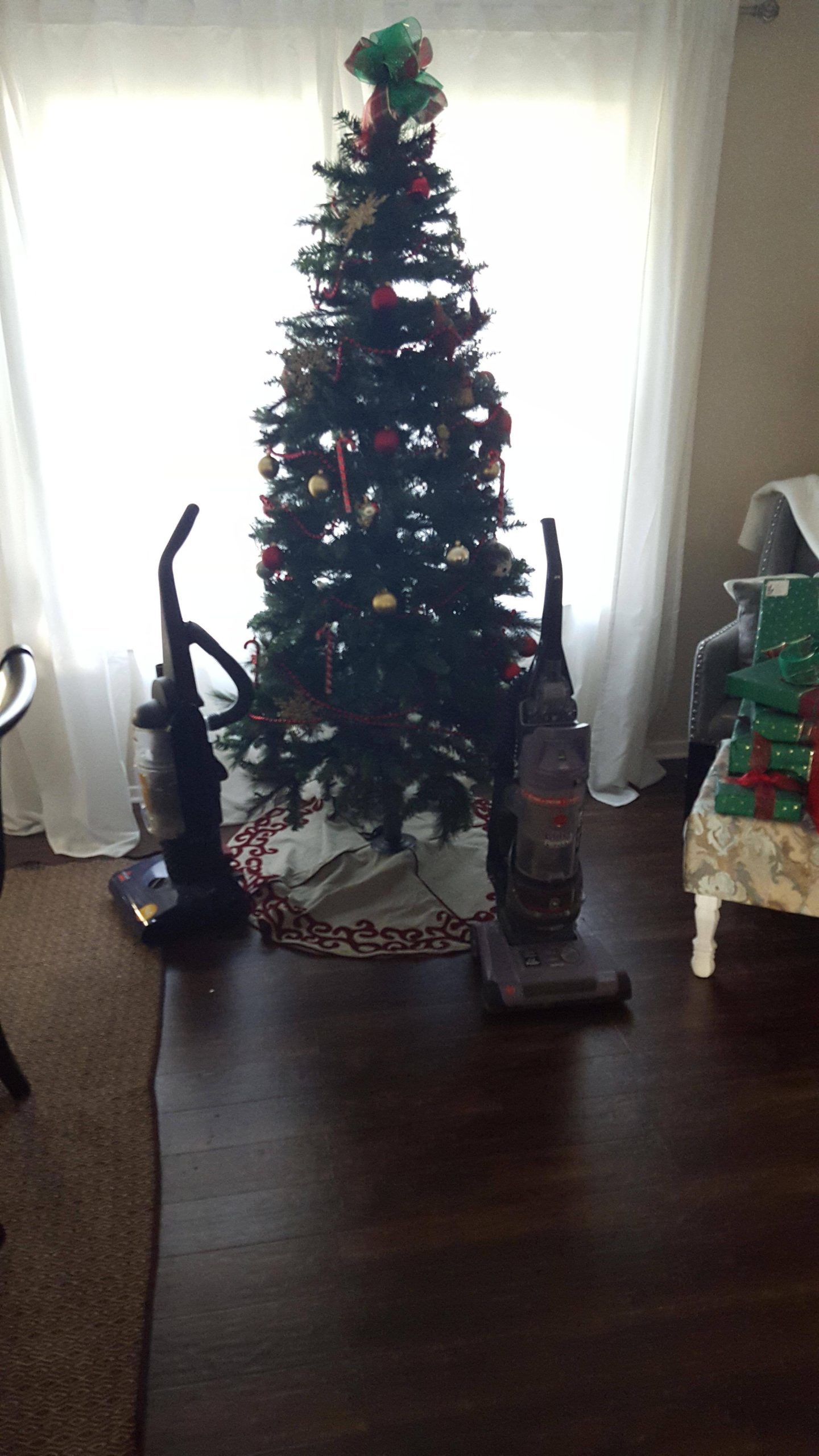 Protection from cat vandals - Christmas tree, Protection, A vacuum cleaner