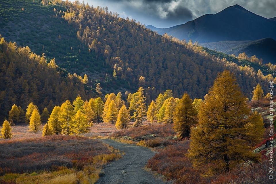 A little about the nature of Kolyma - The photo, Nature, Longpost