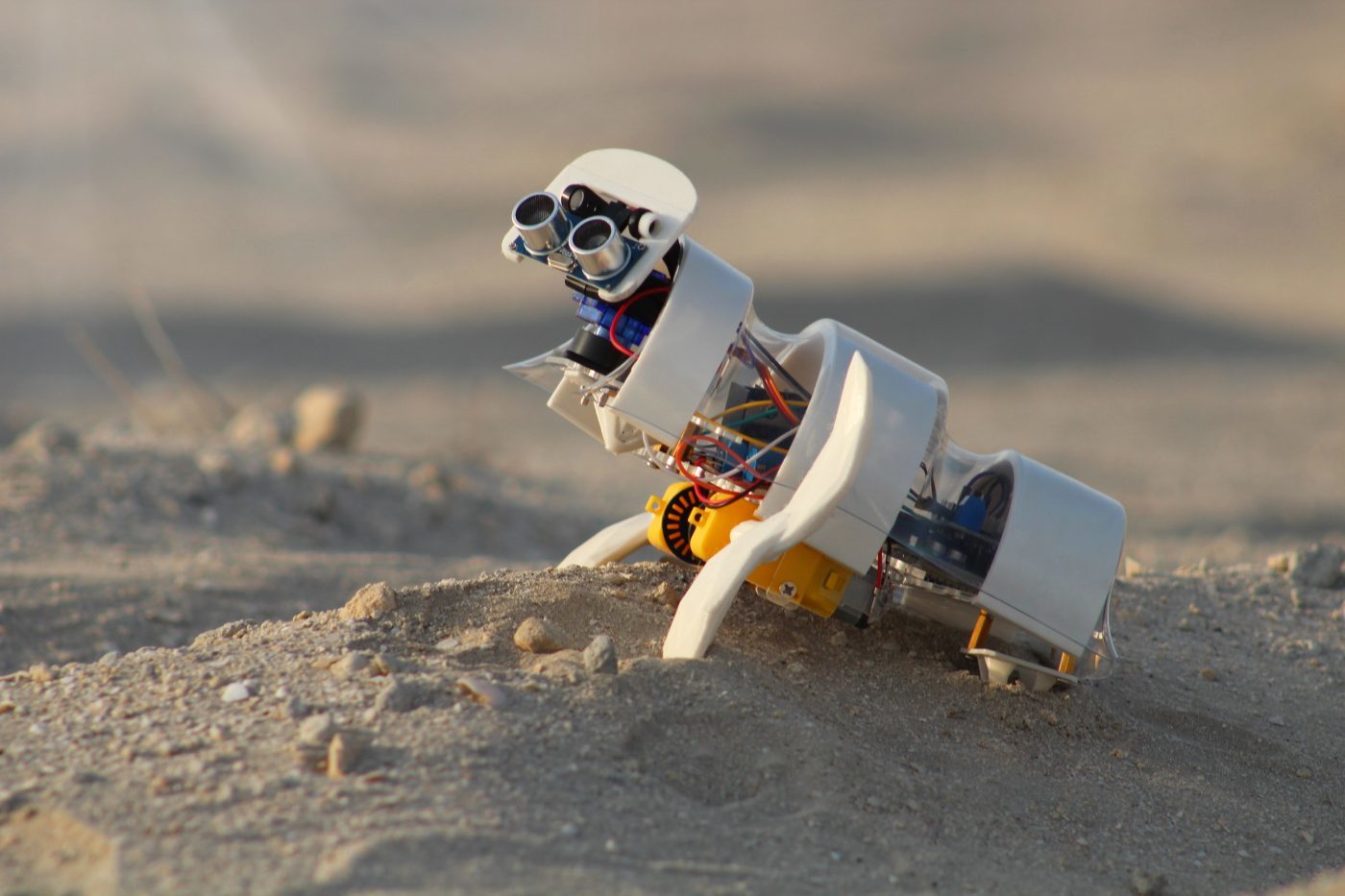 WALL-E of terrestrial deserts - Scientists, The science, Ecology, Research, Technologies, Informative, The photo, Robot, Desert, Reportage, Video, Longpost