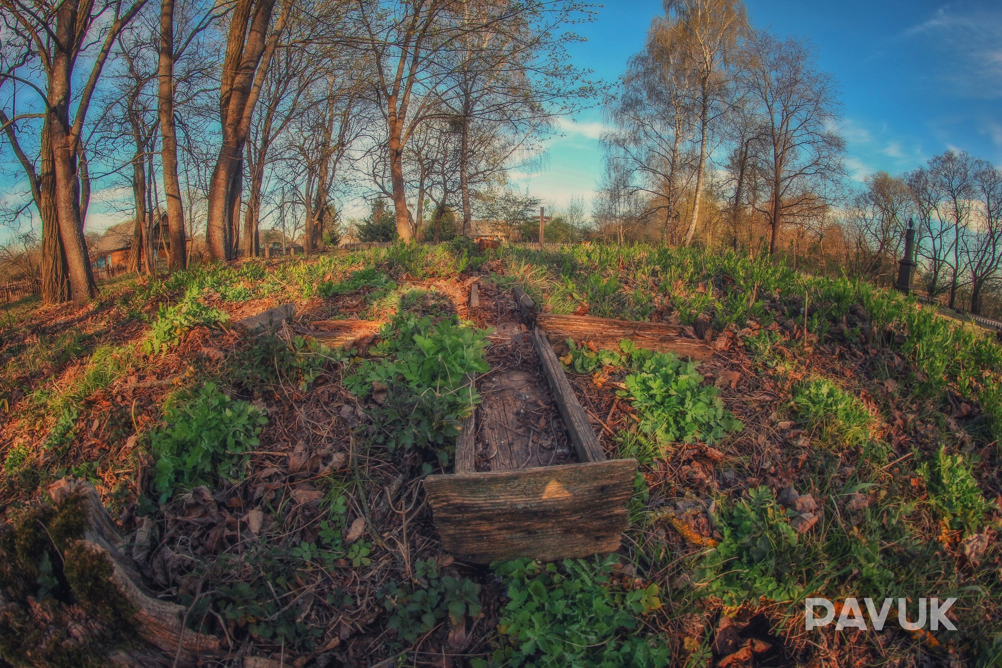 Old Catholic cemetery. Kobrin district, Kivatichi village - My, Cemetery, Story, Catholic Church, Abandoned, Travels, Village, Sunset, The photo, Gothic, Chapel, Republic of Belarus, Longpost