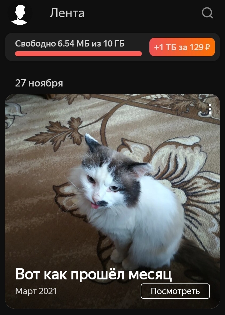 How was your March? - My, cat, Screenshot, Yandex Disk