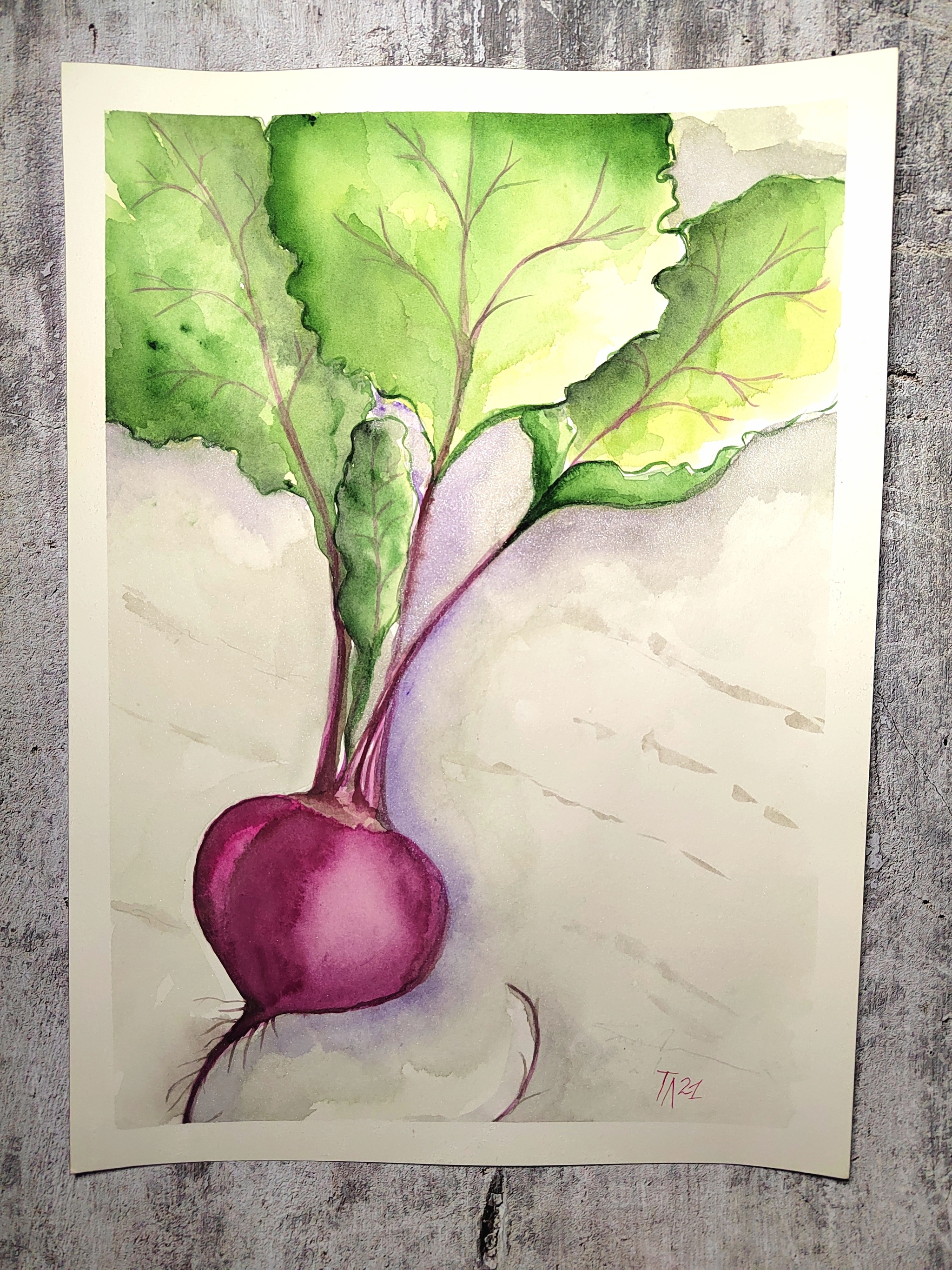 Beet - My, Drawing, Watercolor, Beet