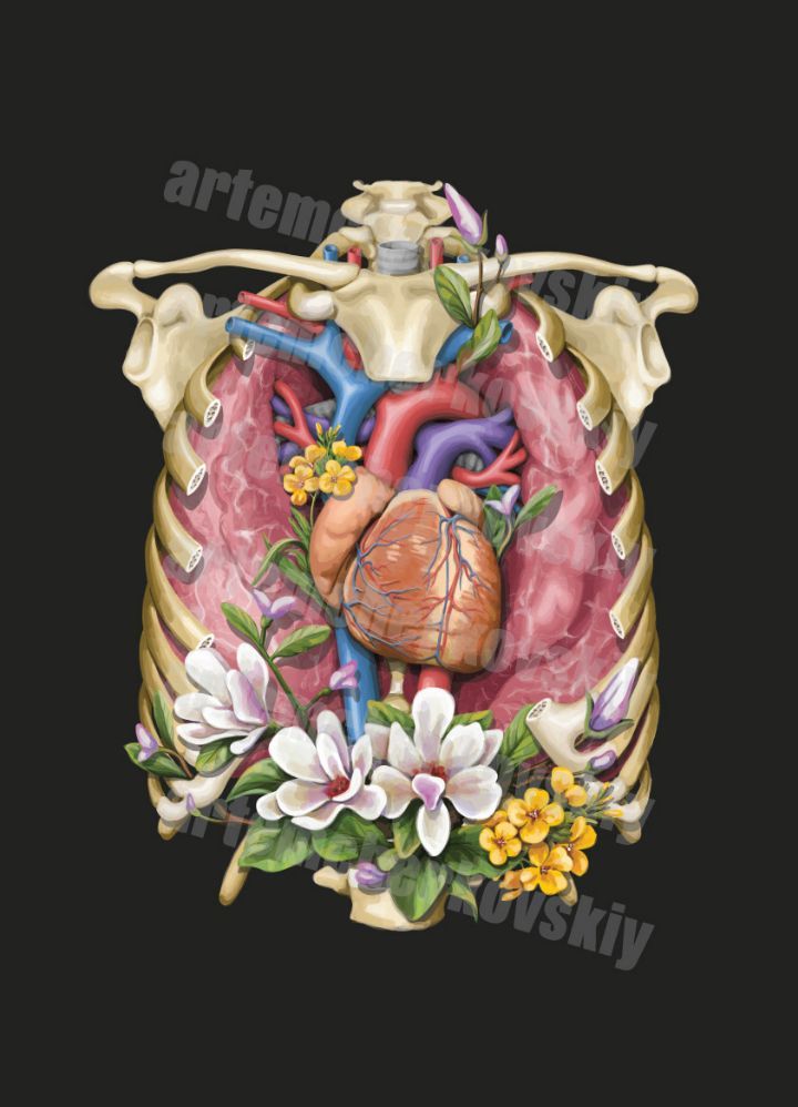 Part of my work for CODEX ANATOMICUS - My, Art, Digital drawing, Vector graphics, Illustrator, Anatomy, Floristics, Drawing, Longpost