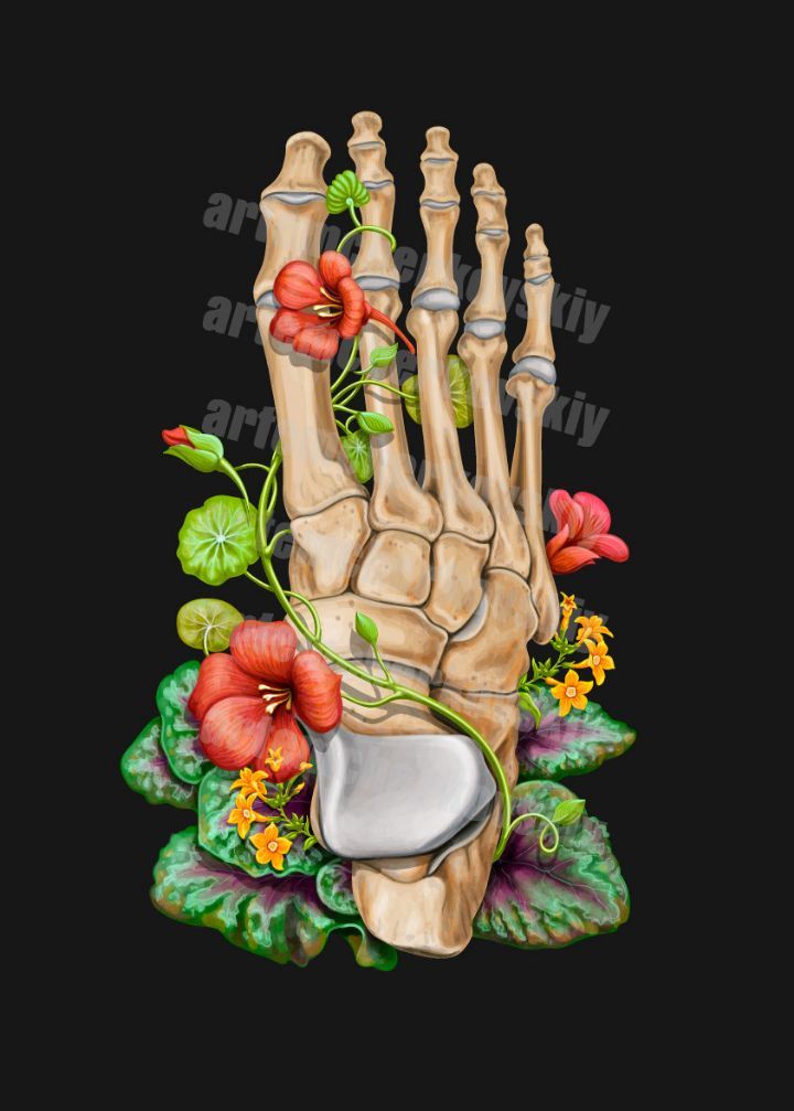 Part of my work for CODEX ANATOMICUS - My, Art, Digital drawing, Vector graphics, Illustrator, Anatomy, Floristics, Drawing, Longpost