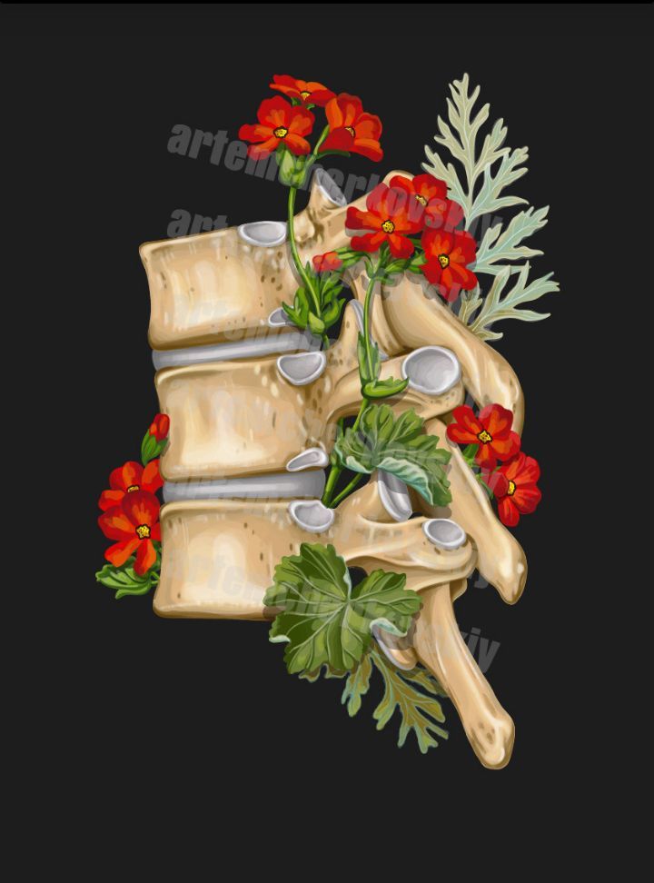 Part of my work for CODEX ANATOMICUS - My, Art, Digital drawing, Vector graphics, Illustrator, Anatomy, Floristics, Drawing, Longpost