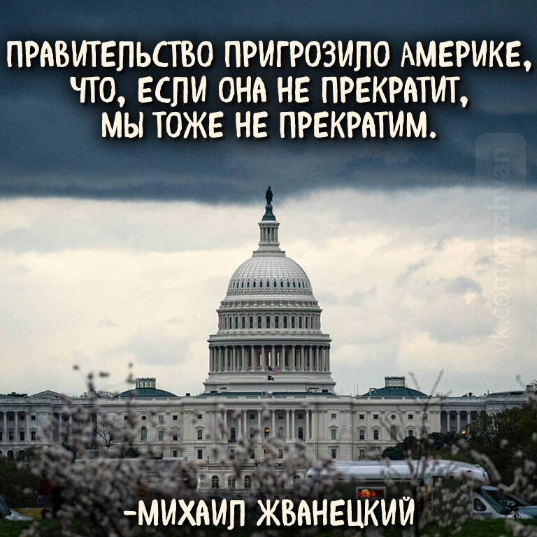 Михаил Жванецкий - Михаил Жванецкий, Собака, Кот, Политика, Деньги, Юмор, ВКонтакте, Грустный юмор, Длиннопост