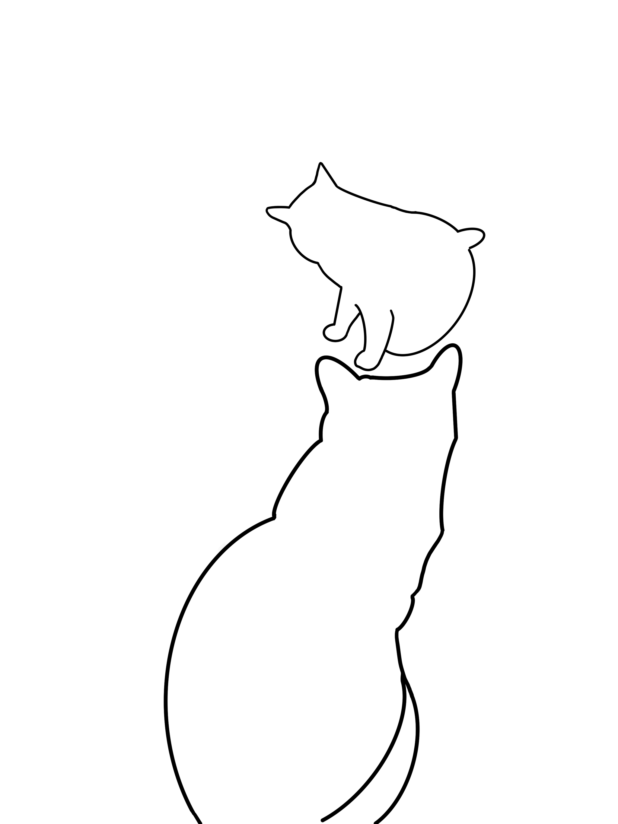 Котики! | Пикабу