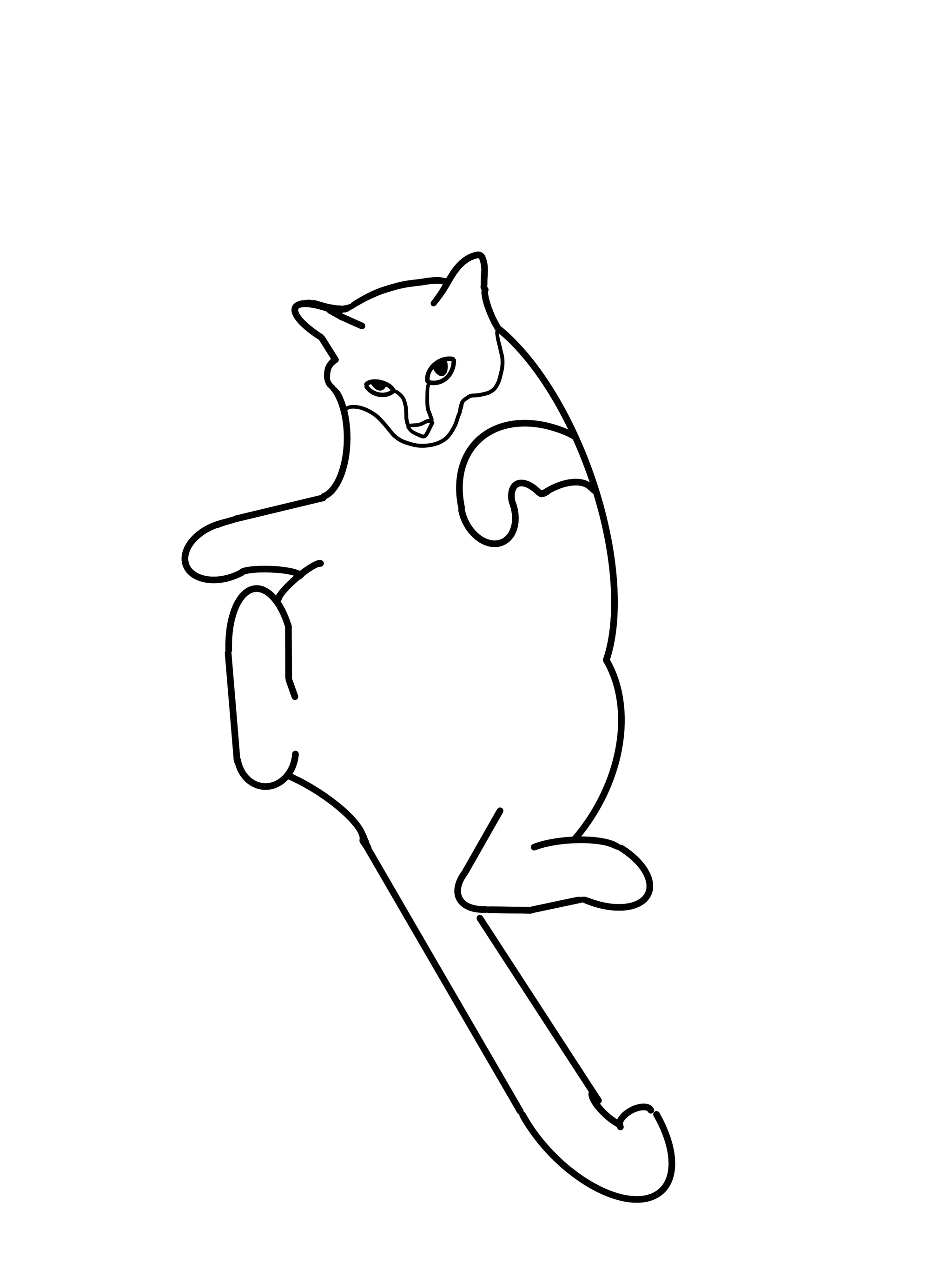 Котики! | Пикабу