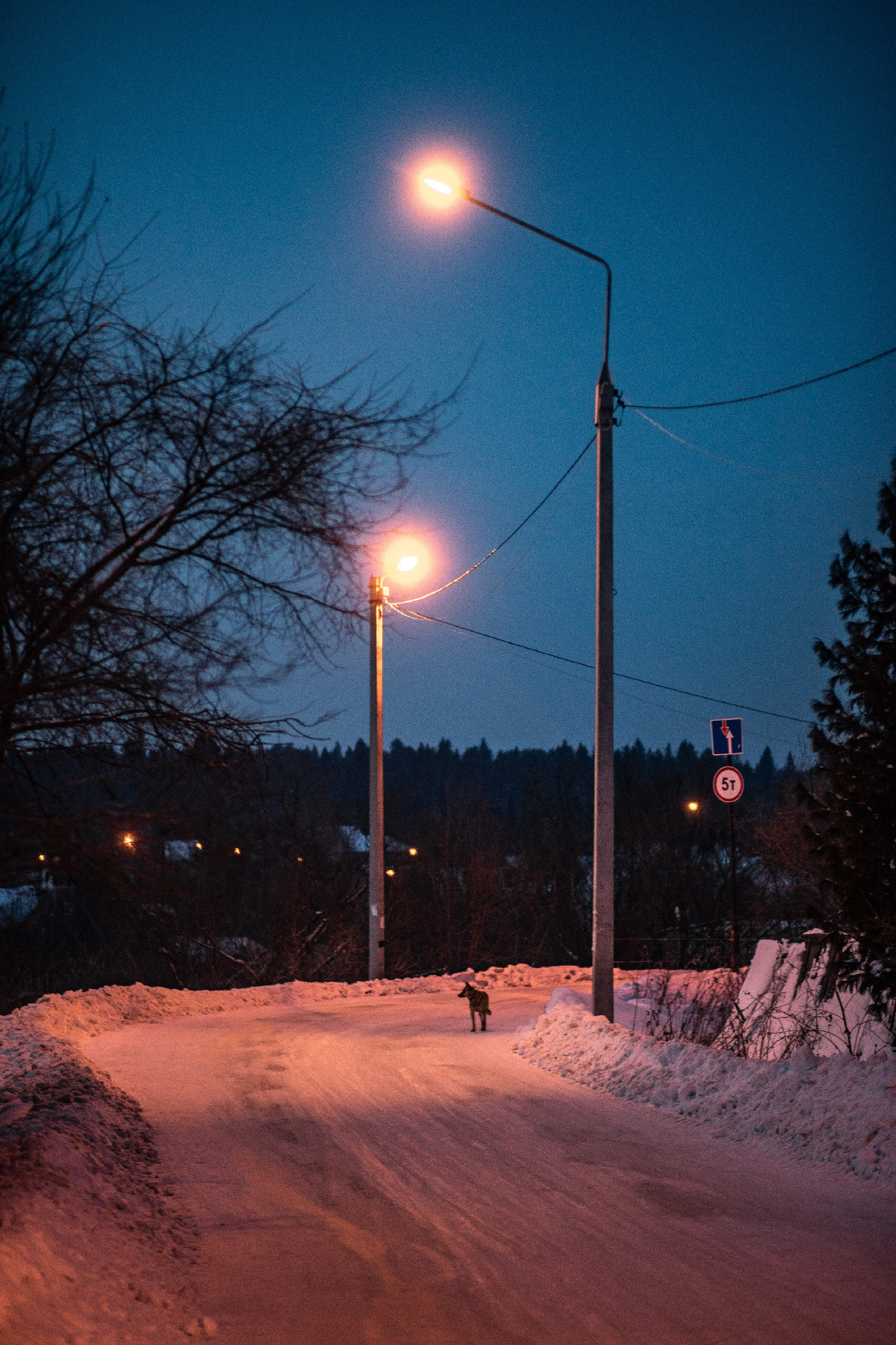 И снова вечерний зимний пригород - Моё, Фотография, Томск, Сибирь, Природа, Зима, Длиннопост, Россия, Природа России, Пейзаж