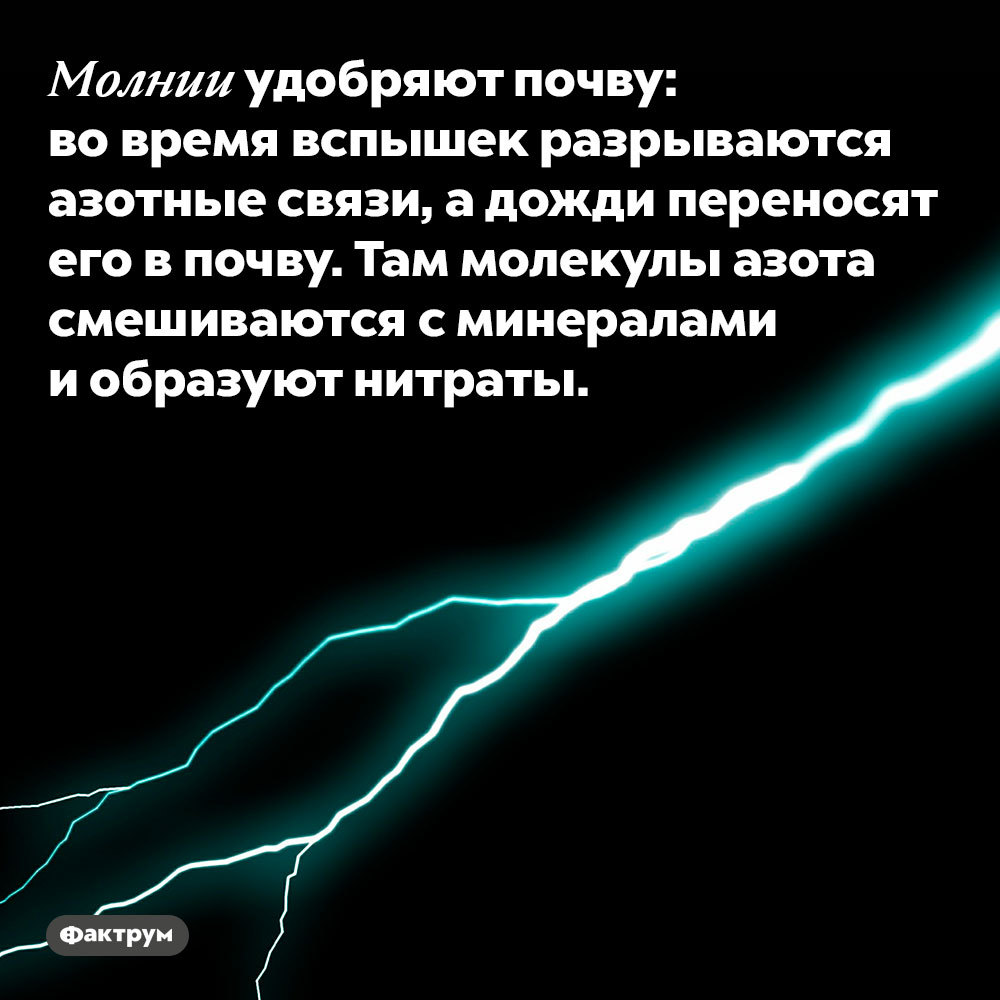 Что такое фульгуриты, что делать если во время грозы ваши волосы наэлектризовались и другие интересные факты о молниях - Моё, Фактрум, Познавательно, Подборка, Факты, Молния, Длиннопост